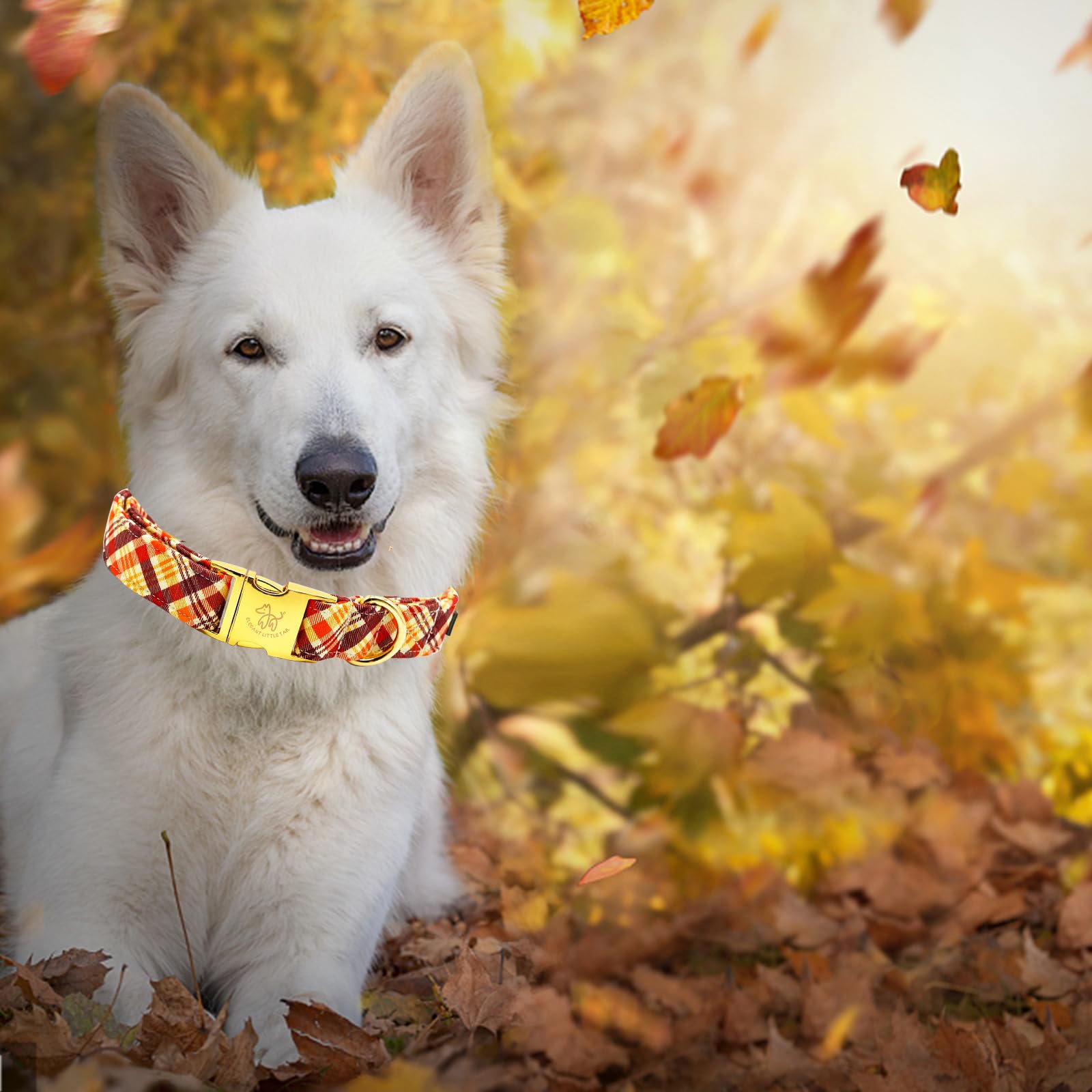 Elegant Little Tail Dog Collar - Orange Plaid Fall Pet Collar With Metal Buckle For Small Dogs, Puppies - Adjustable Cotton Coll