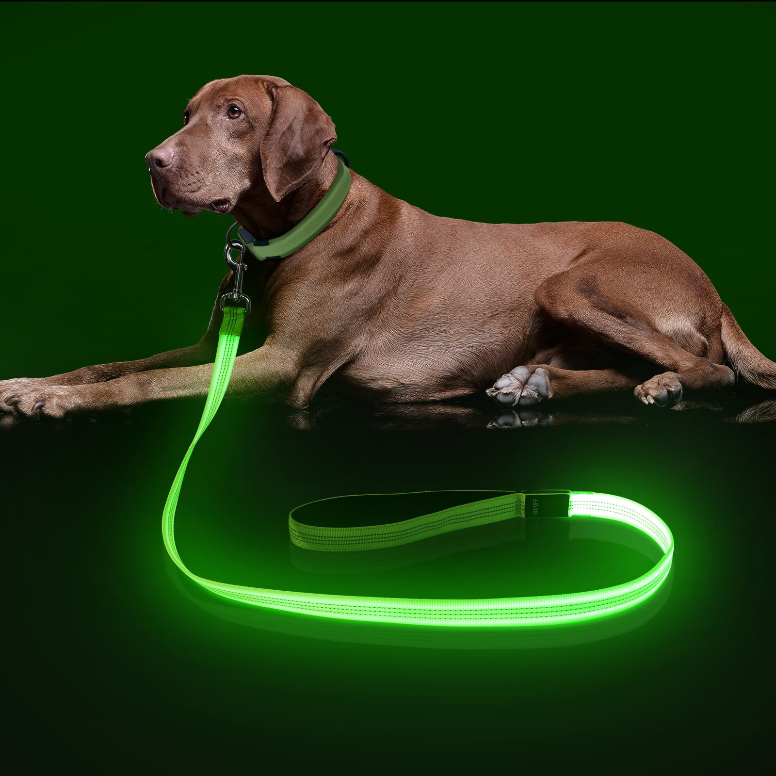 Colaseeme Light Up Dog Leash, 4Ft Led Pet Leashes Micro Usb Rechargeable, Nylon Glow Safety Dogs Lights At Night (Green-New)