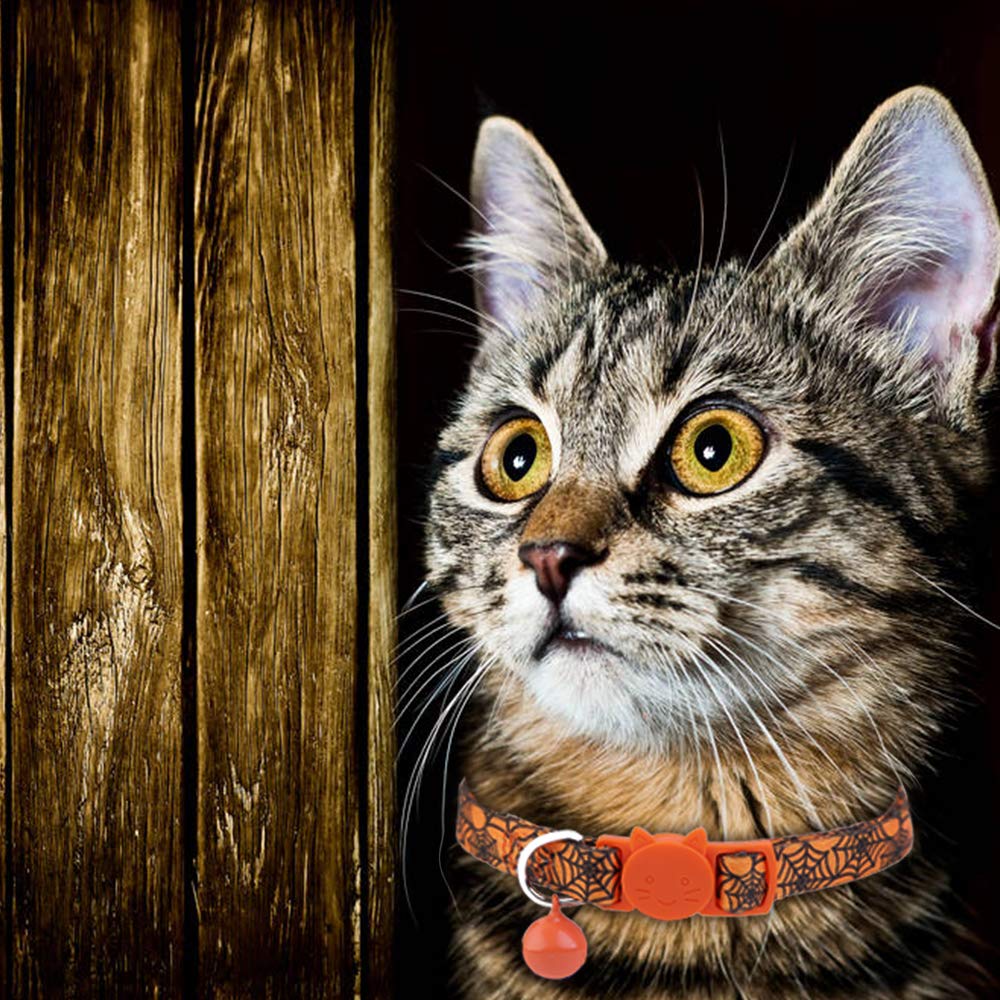 Halloween Cat Collar Set Of 2 Kitten Collars