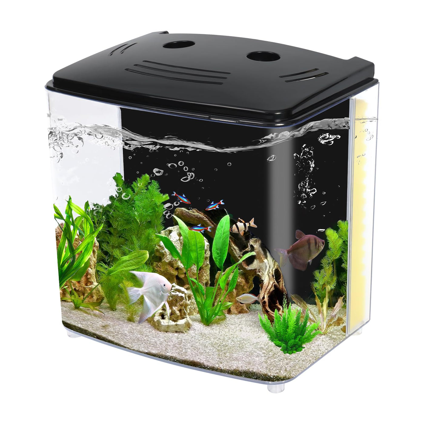 aquarium fish tank accessories kits with led lighting AQUANEAT Fish Tank, 1.2 Gallon Aquarium, Small Betta Fish Tank Starter – Petocart