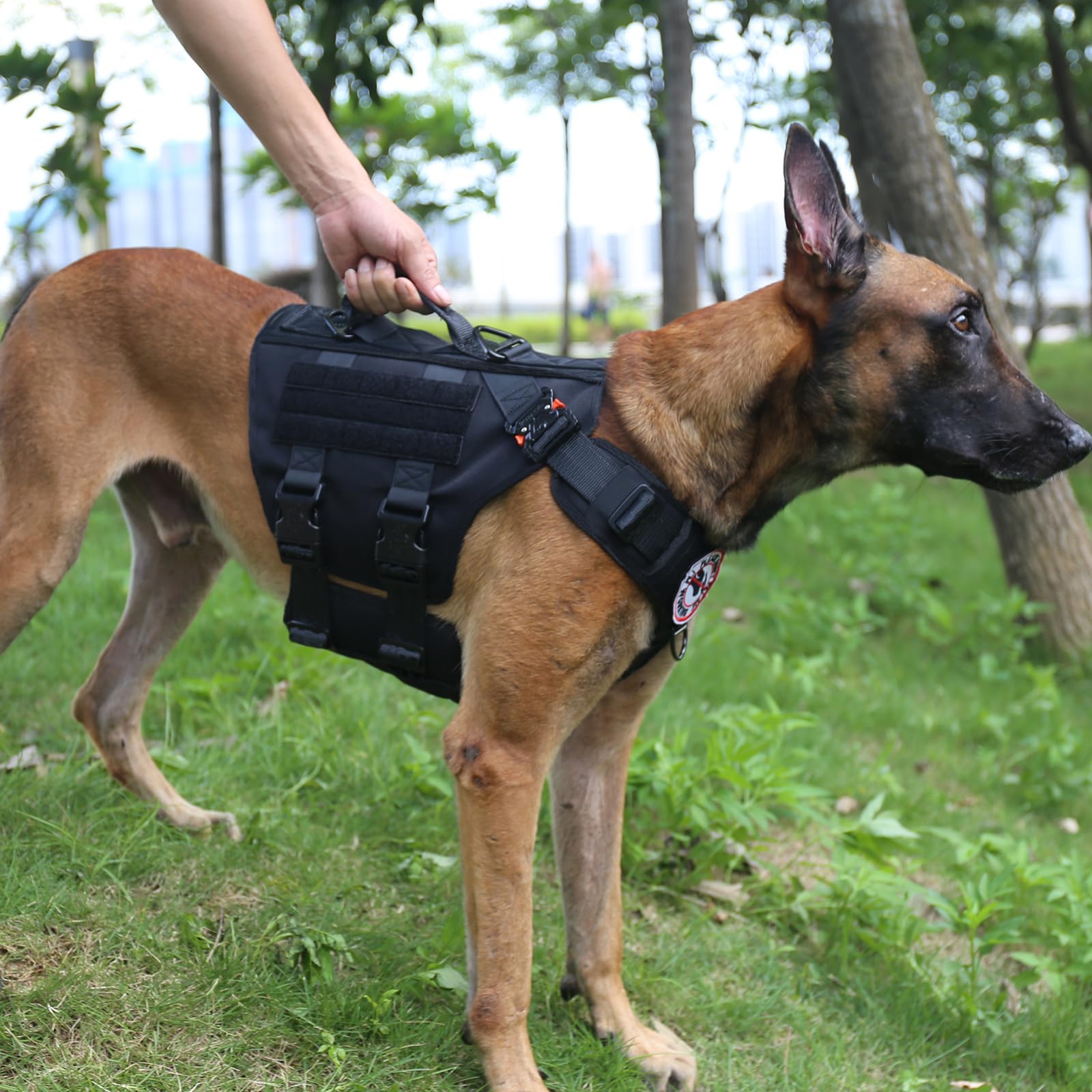Icefang Gn3 Tactical Dog Harness With 6X Buckle,Dog Molle Vest With Handle,3/4 Body Coverage,Hook And Loop Panel For Id Patch,No