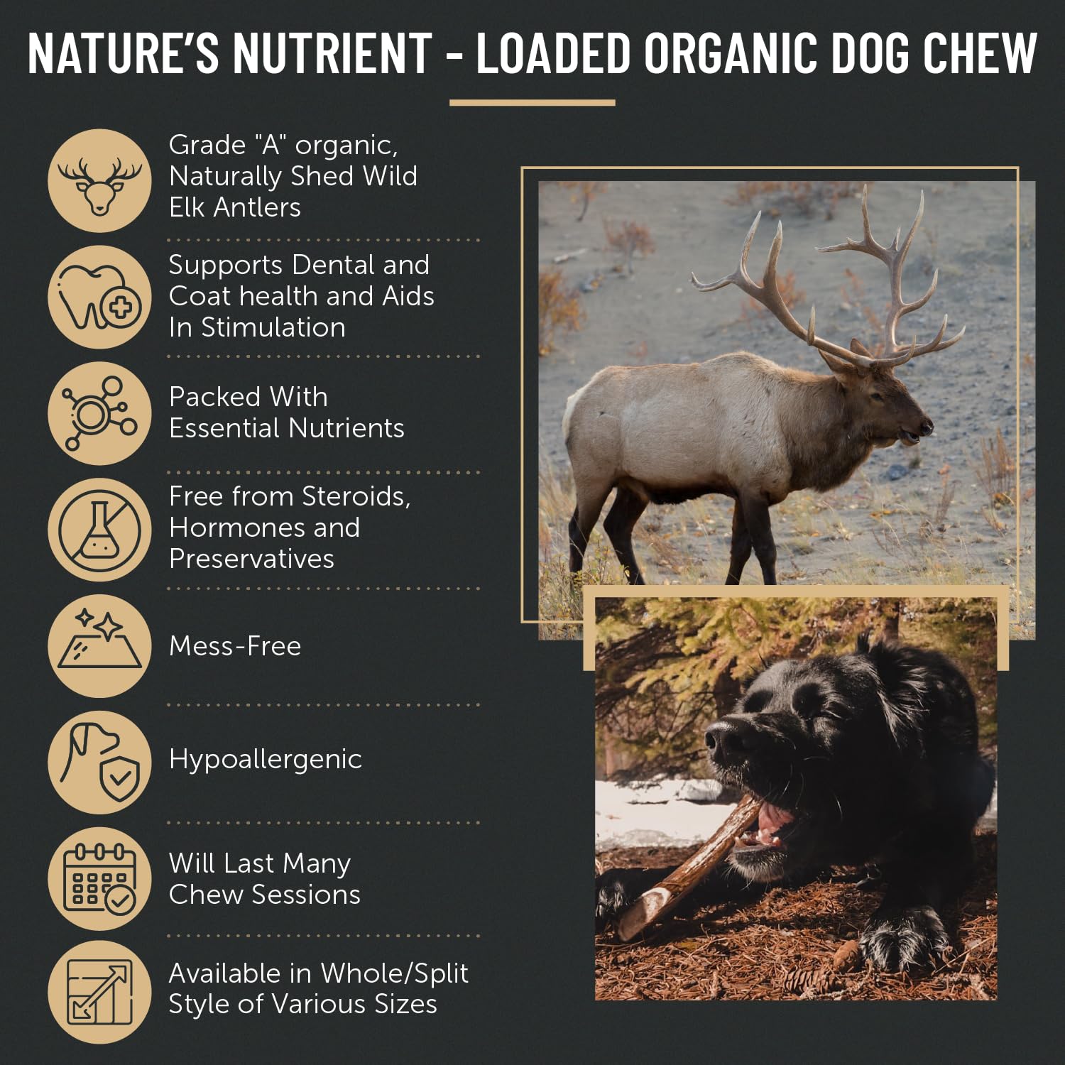 The Antler Box Premium Elk Antler Dog Chews (1 Pound Box) (X-Large (2 Pieces) Split Only)
