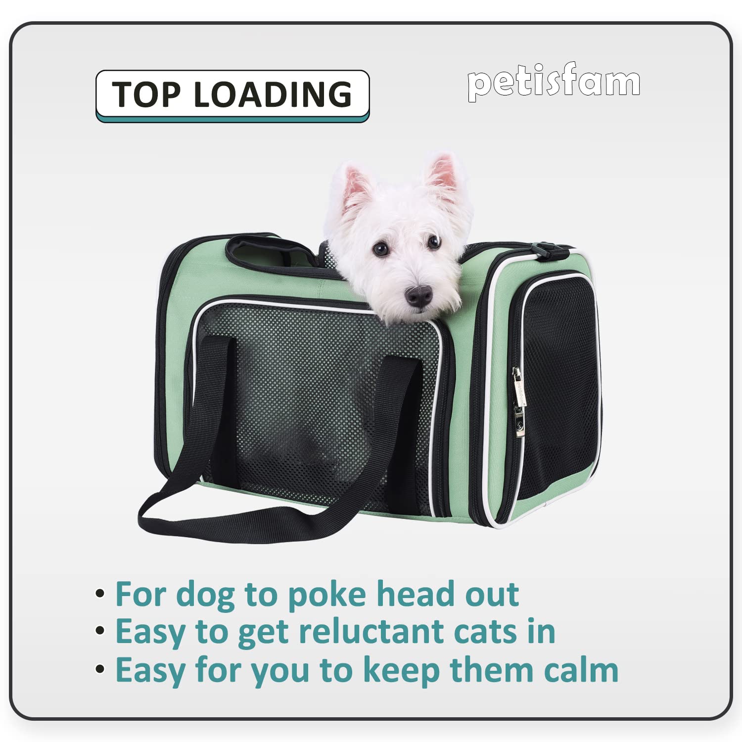 petisfam Top Load Cat Carrier for Medium Cats and Small Dogs with Washable Cozy Bed, 3 Doors and Shoulder Strap. Easy to get cat