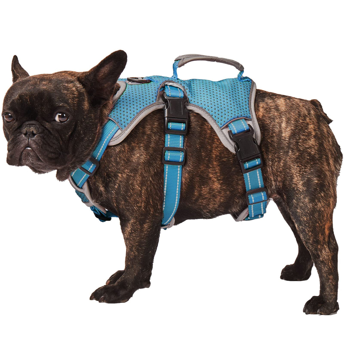 No Escape Dog Harness, Escape Proof Harness, Fully Reflective Harness With Padded Handle, Breathable,Durable, Adjustable Vest For Medium Dogs Walking, Training, And Running Gear Blue (Medium)