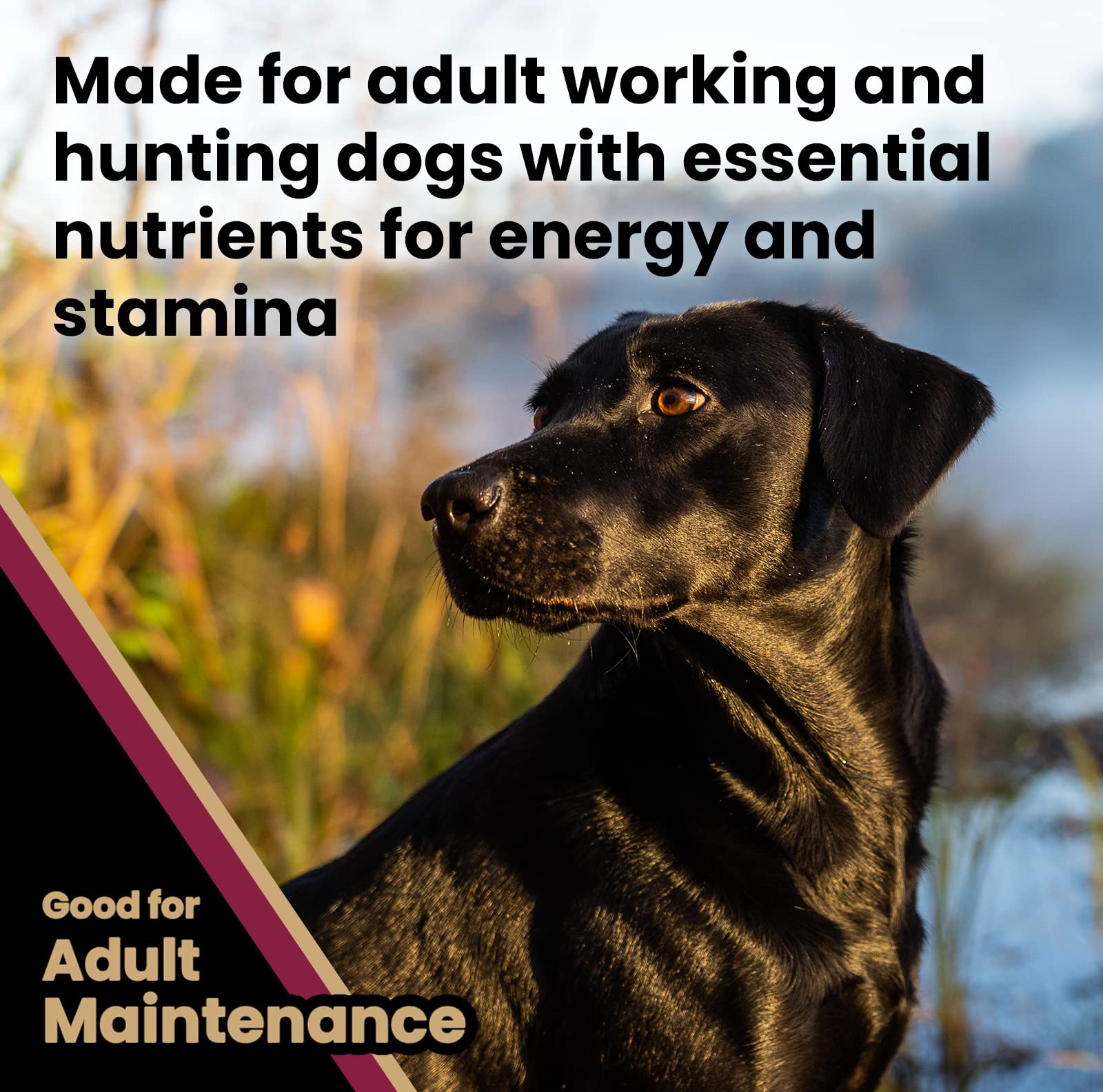 VICTOR Super Premium Dog Food - Realtree Edge Energy Dry Food for Highly Active Dogs - 28% Protein, 22% Fat - Gluten Free Kibble