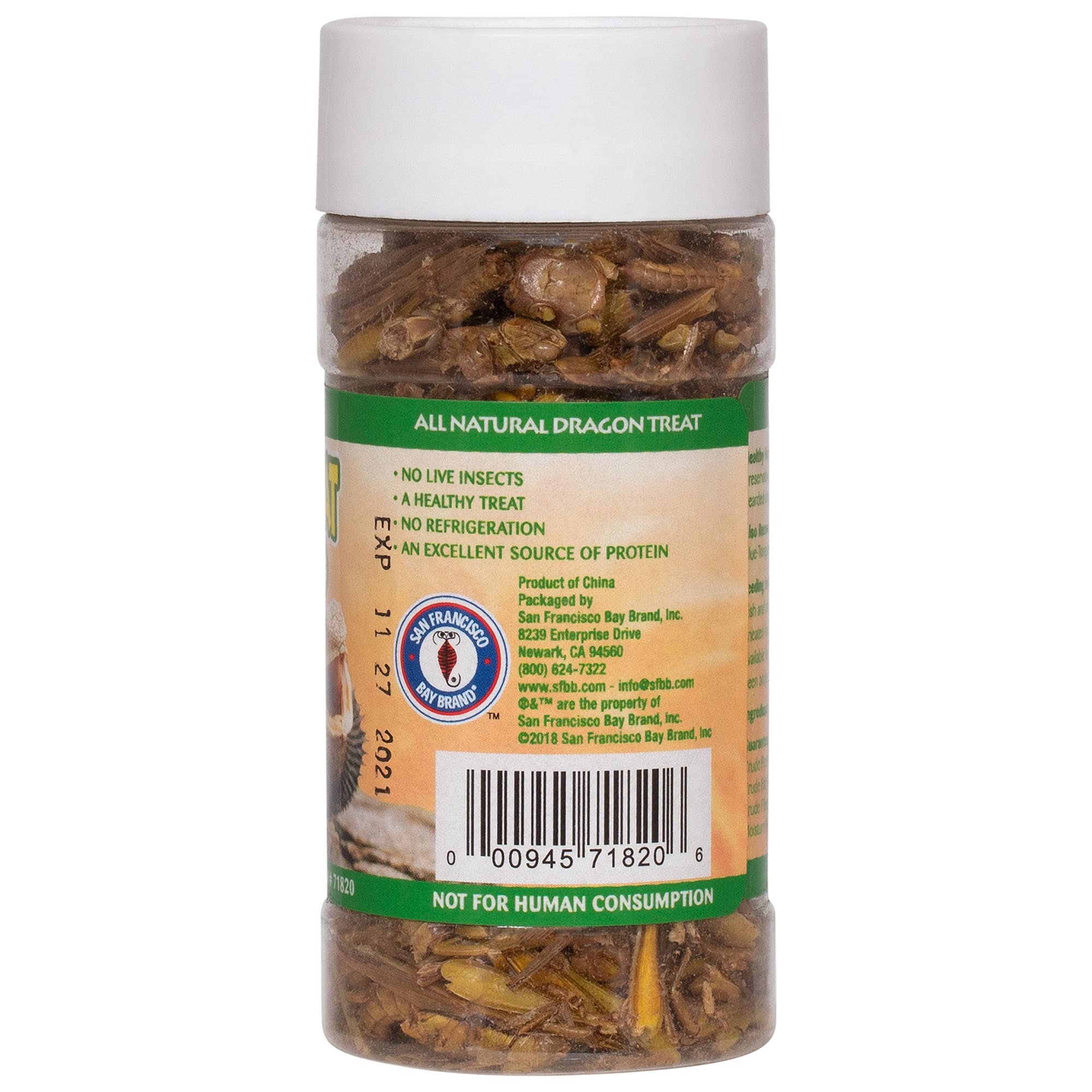 Healthy Herp Dragon Treat Grasshoppers - All Natural, Nutritious Turtle Food, Bearded Dragon Tank Accessories - for Bearded Drag