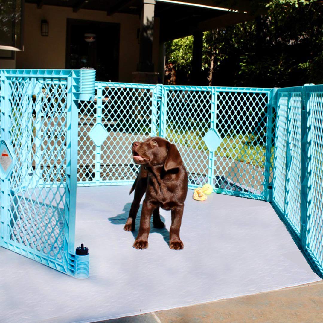 Rocket & Rex Premium Xl Non-Slip Washable Pee Pad For Dogs, Waterproof & Reusable Puppy Pad For Potty Training, Whelping, Travel