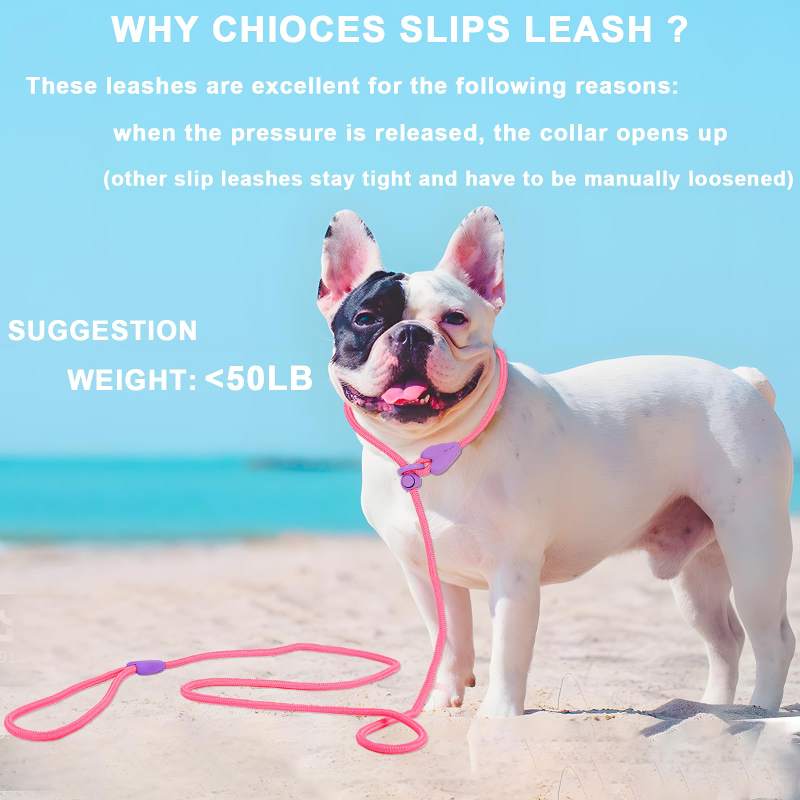 Slip Lead Dog Leash Slip Lead 6 FT Dog Training Leash 6 Color Slip Leads for Dogs Dog Leashes for Medium Dogs No Pull Dog Leash