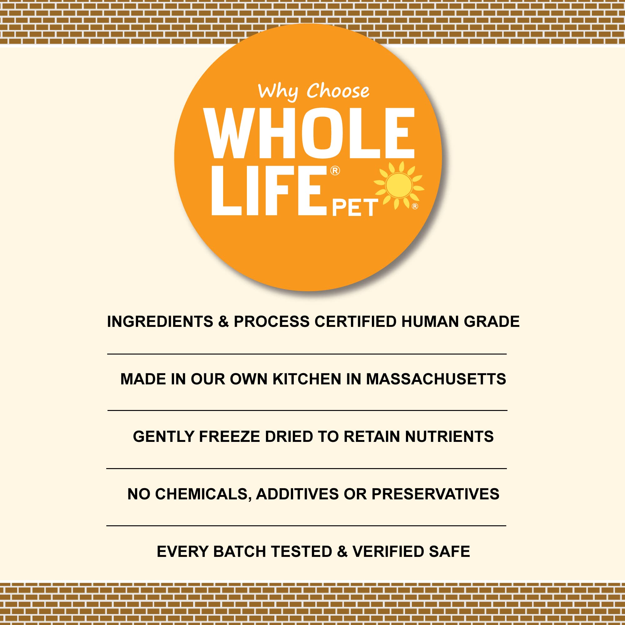 Whole Life Cat Just One Salmon Freeze Dried Cat Treats - Human Grade High Protein Food, Healthy Training Snacks, Freeze Dried Sa