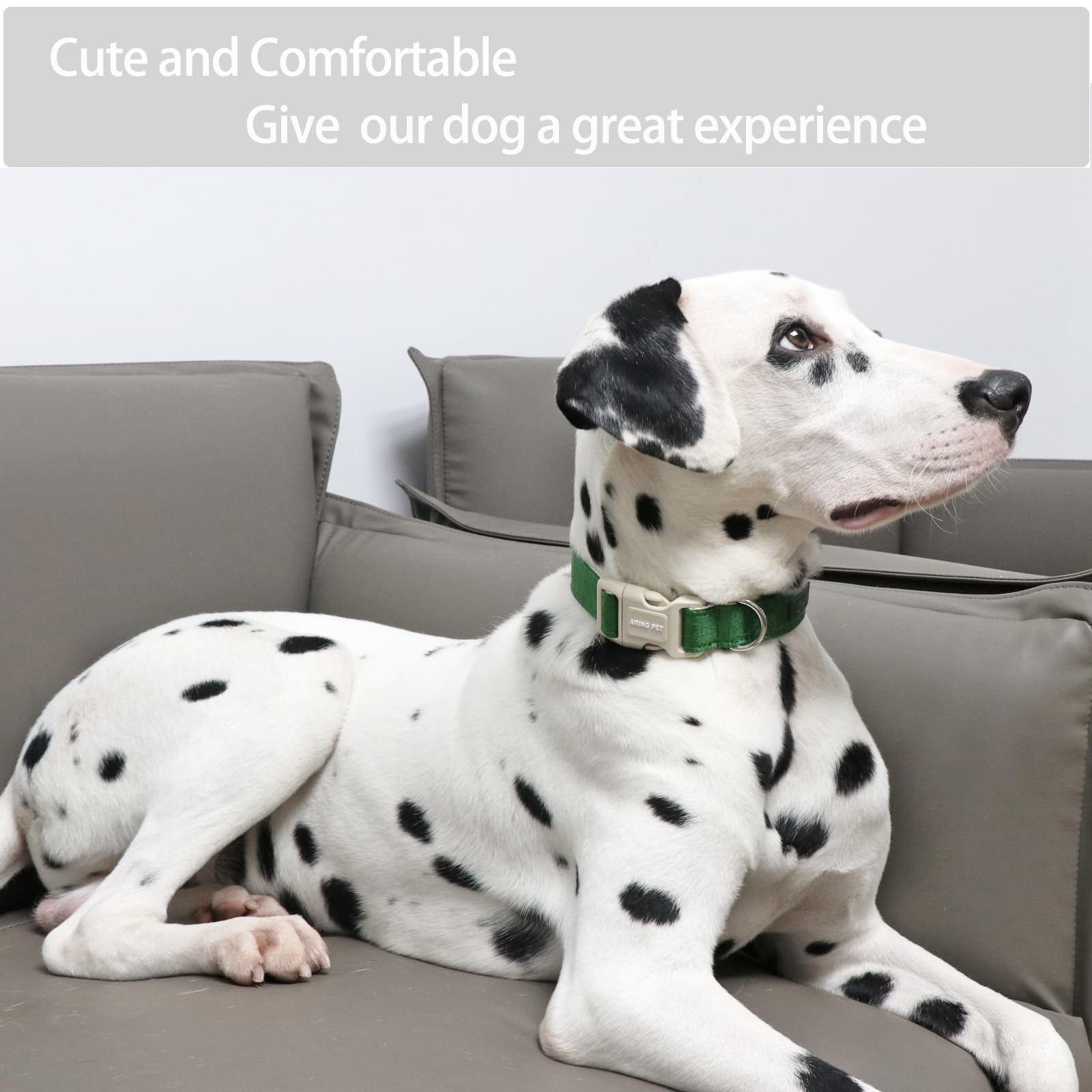 Aring Pet Dog Collar-Cute Cotton Puppy Collar For Small Dogs, Adjustable Lightweight Pet Collars With Quick Release Buckle For Small Medium Large Dog