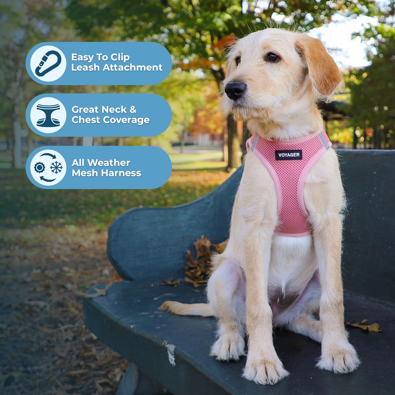 Voyager Step-In Air Dog Harness - All Weather Mesh Step In Vest Harness For Small And Medium Dogs And Cats By Best Pet Supplies - Harness (Pink), L (Chest: 18-20.5')