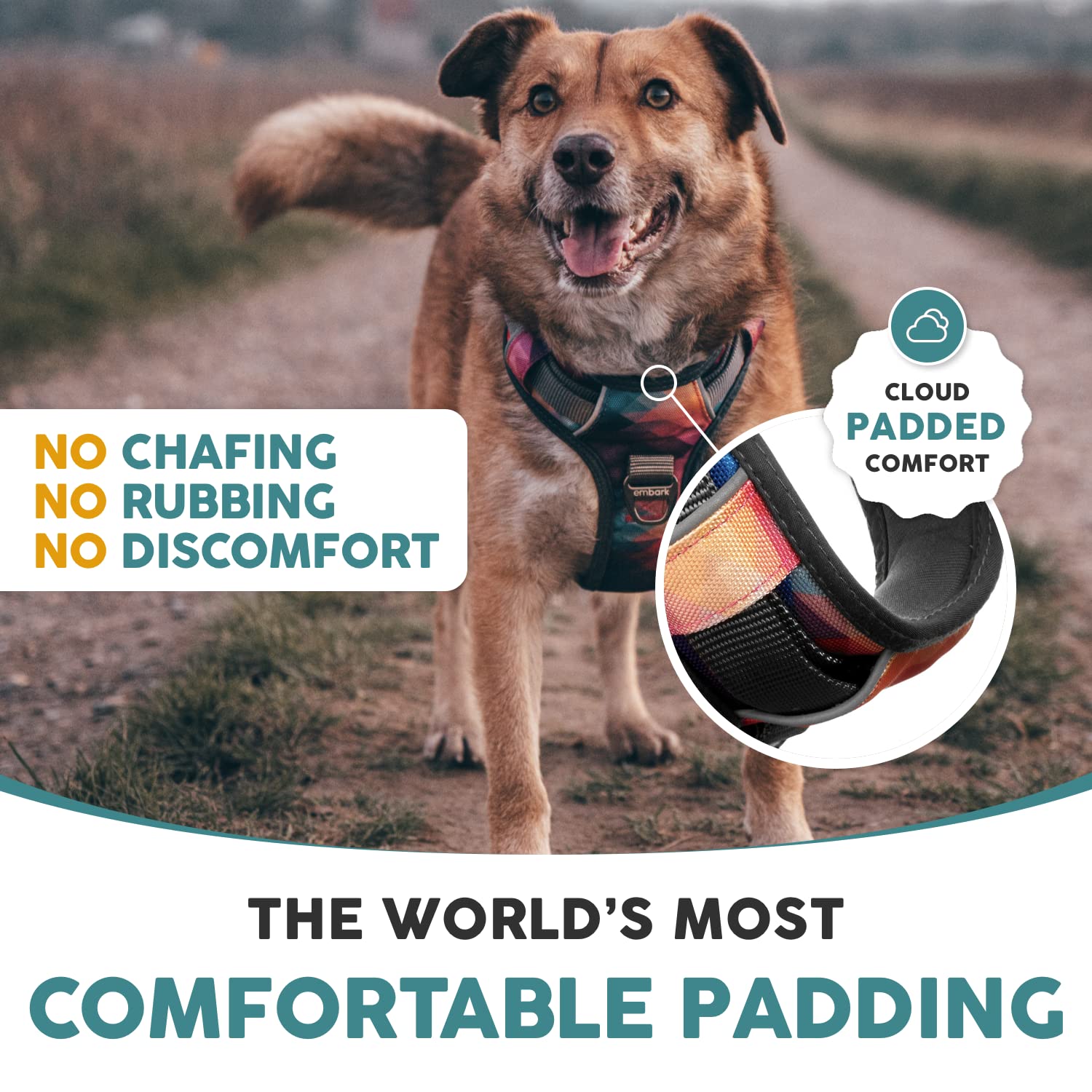 Embark Urban Dog Harness No-Pull Dog Harness For Small Dogs, Medium & Large. 2 Leash Clips, Front & Back With Control Handle, Adjustable Black Dog Vest For Any Breed, Soft & Padded For Comfort