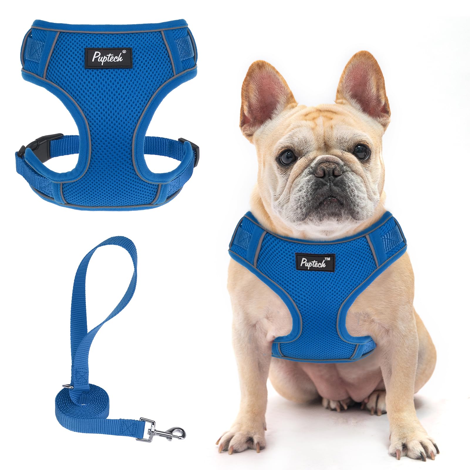 Pupteck Dog Harness And Leash Set For Small Medium Dogs No Pull, Soft Mesh Adjustable Puppy Cat Harness Reflective At Night, Dee