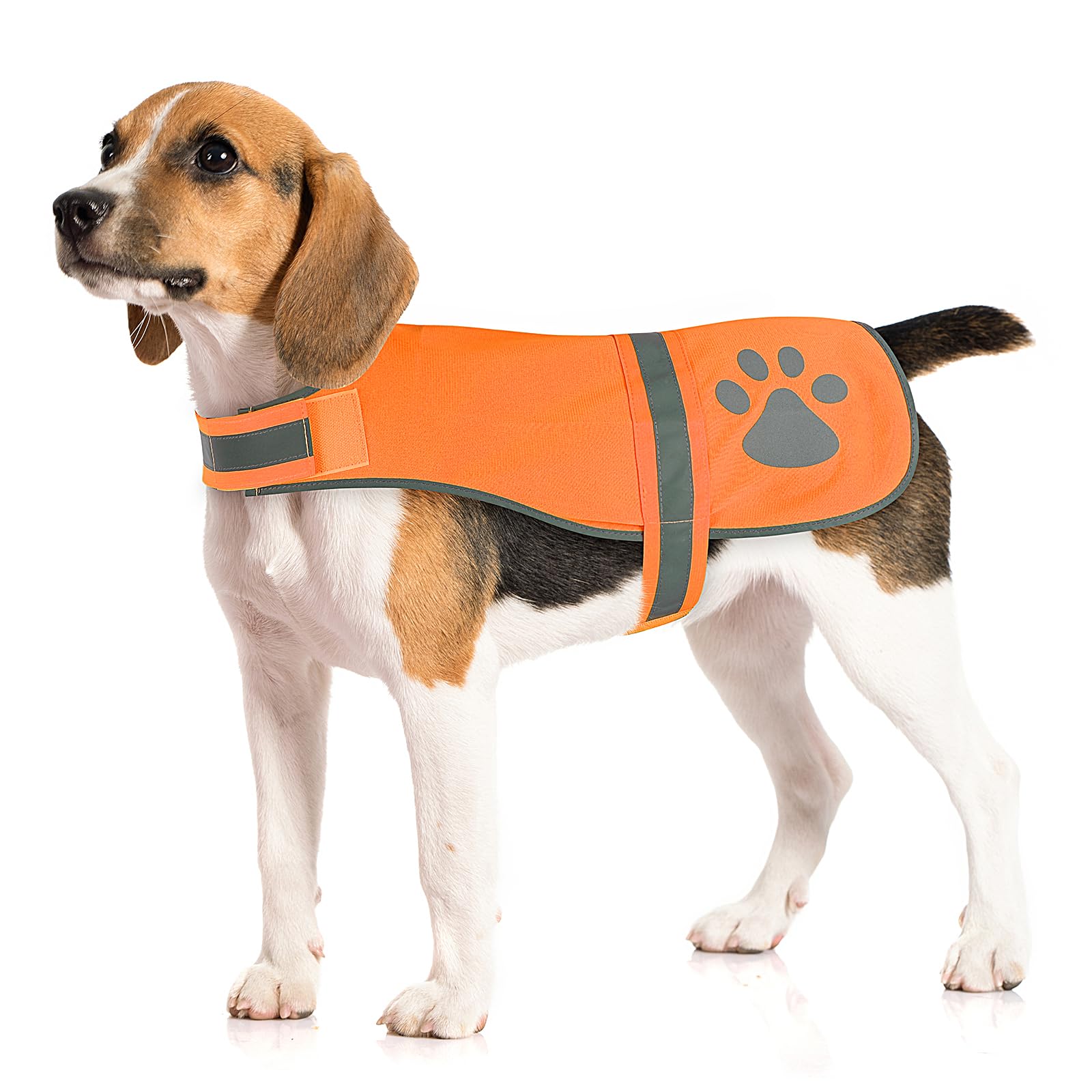 Candofly Reflective Dog Vest - High Visibility Fluorescent Safety Hunting Vest Dog Jacket For Night Walking & Camping (Orange, S