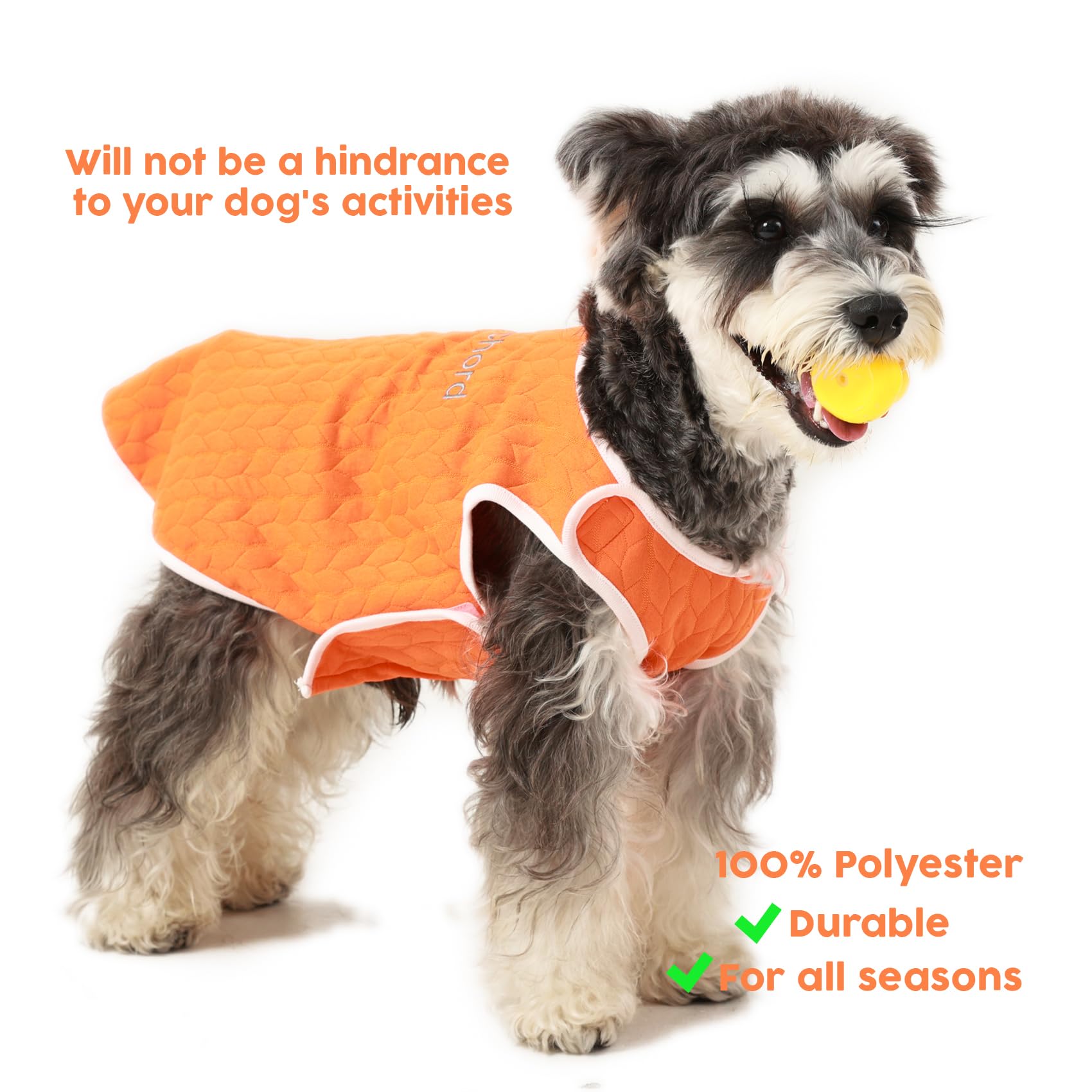 Knewchord Dog Shirts Soft Warm Cat Shirts Pet T-Shirt Puppy Dog Apparel Tee Tanks Easy On And Off (Orange, Large)