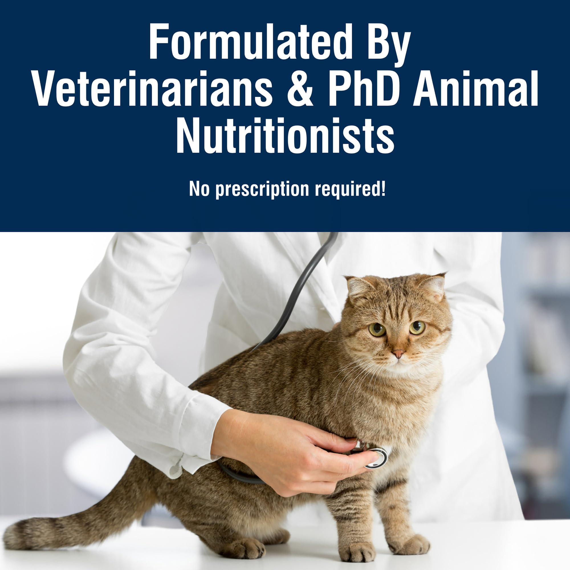 Blue Buffalo True Solutions Hairball Control Natural Dry Cat Food for Adult Cats, Chicken, 11-lb. Bag