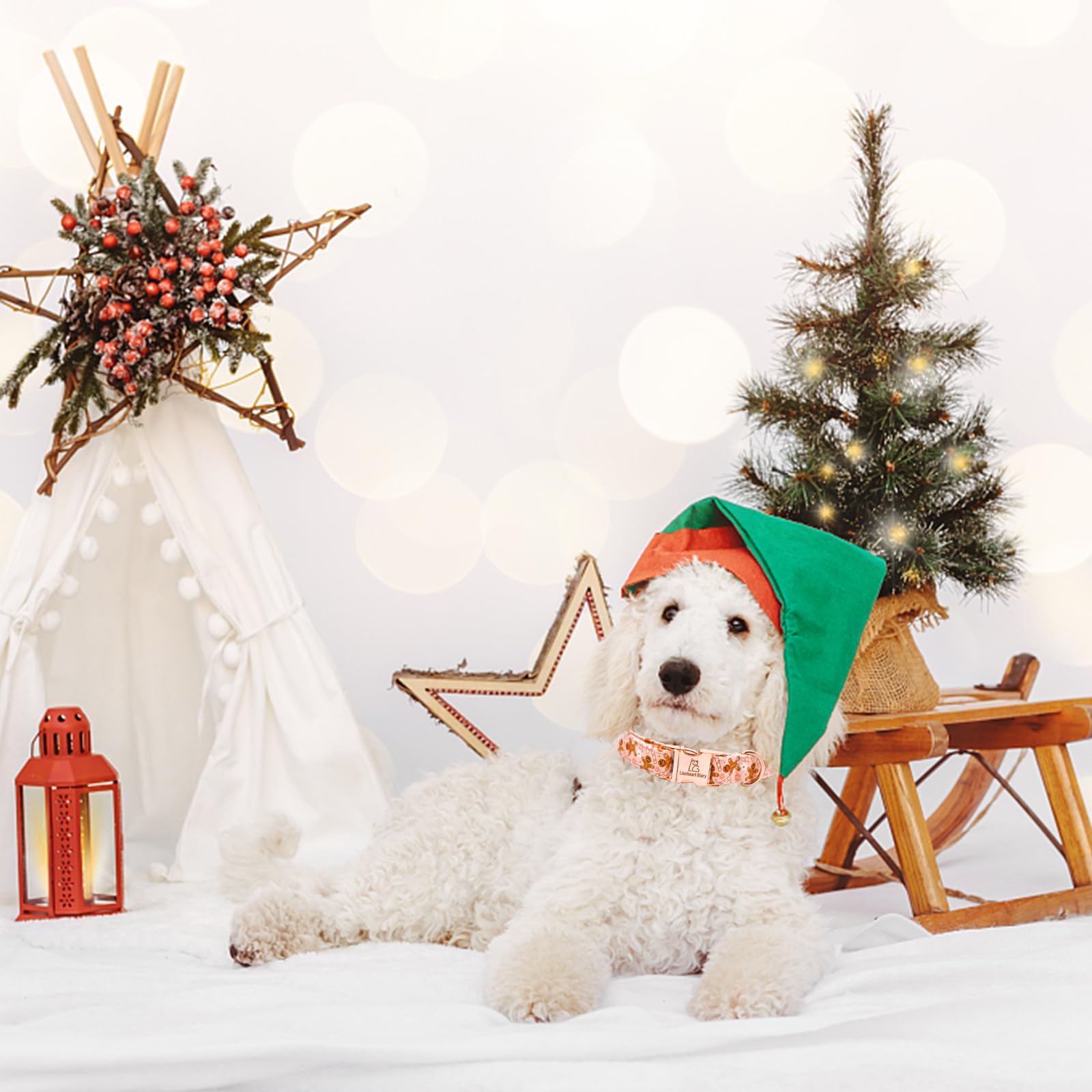 Lionheart Glory Christmas Dog Collar Pink Collar Dog Adjustable Soft Dog Collars Gingerbread Man Dog Collars For Small Medium La