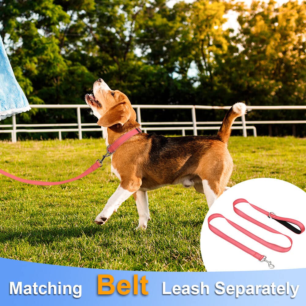 Taglory Reflective Adjustable Dog Collars For Puppy Small Medium Large Dogs, Thin Nylon Webbing And Quick Release Plastic Buckle(Noen Pink Medium)