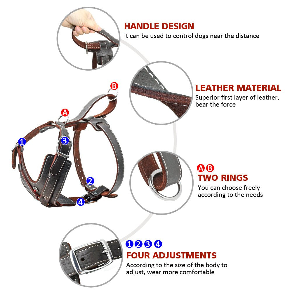 PET ARTIST Heavy Duty Leather Dog Harness for Medium Dogs