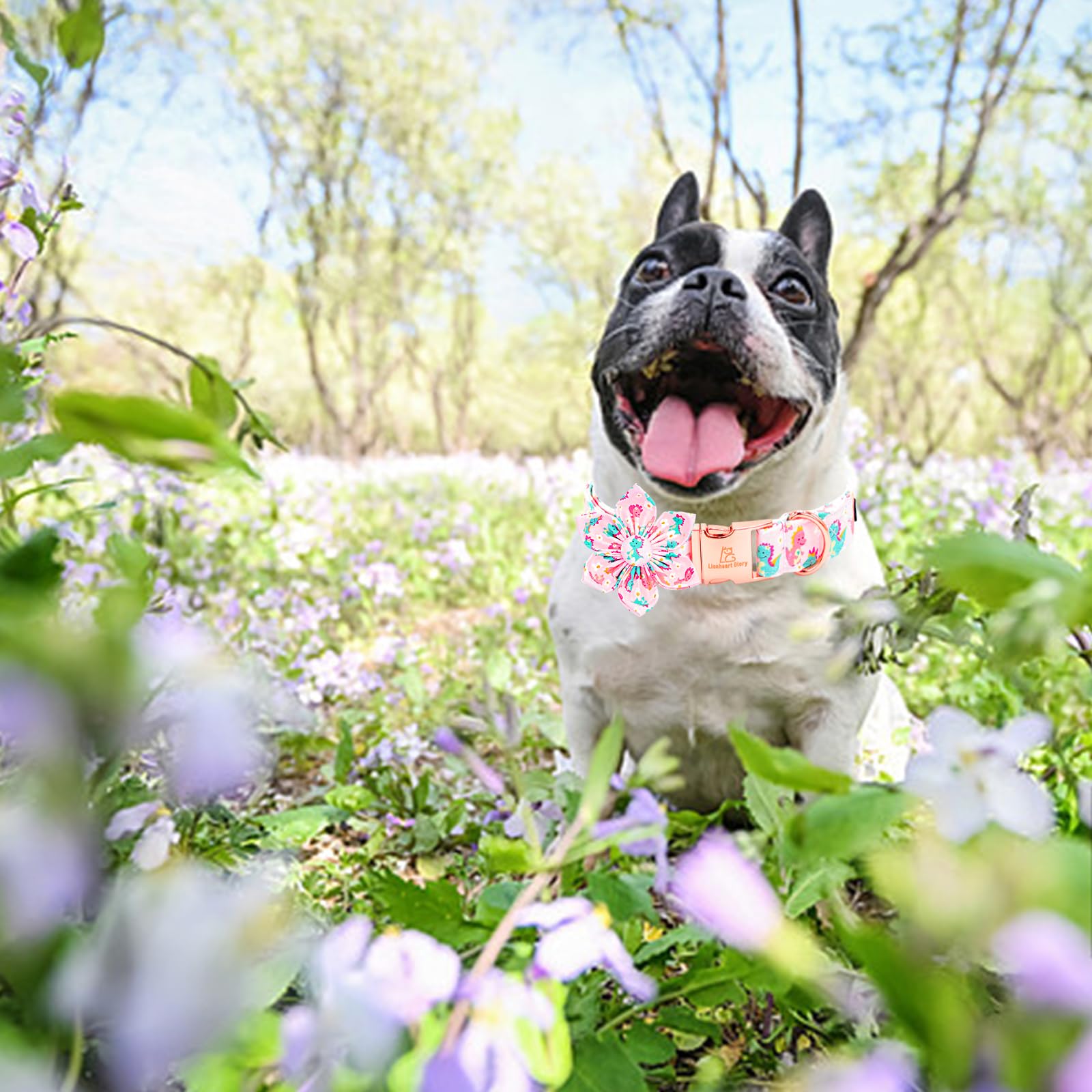 Lionheart Glory Dog Collar With Flower Dinosaurs Print Collars For Small Dogs, Spring Summer Cute Duty Adjustable Dog Flowers Co