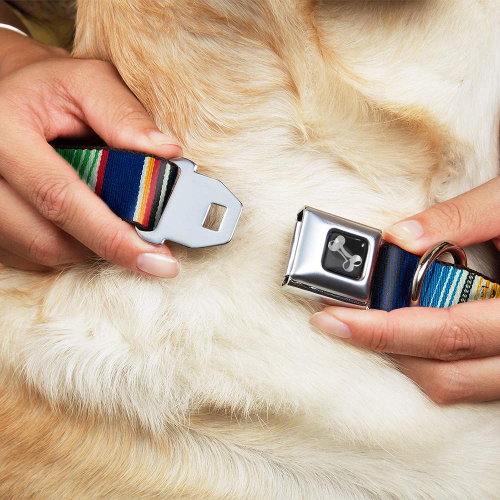 Buckle-Down Seatbelt Buckle Dog Collar - Zarape2 Vertical Multi Color Stripe - 1.5' Wide - Fits 16-23' Neck - Medium