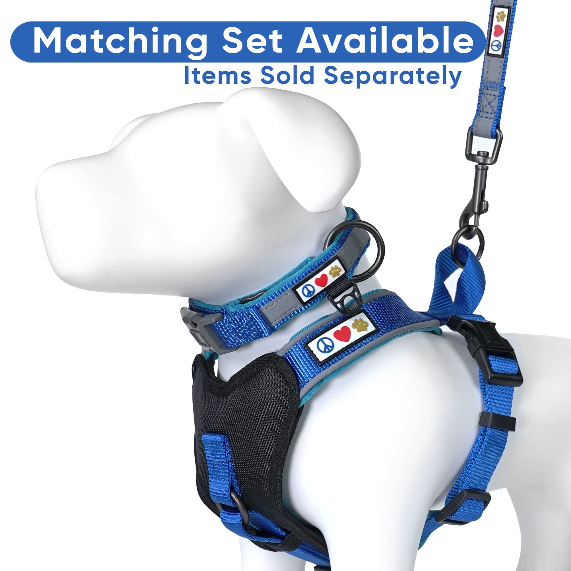 Pawtitas 6 Ft Padded Dog Leash With Comfortable Neoprene Padding Handle - Blue Lead | Medium Reflective Dog Leash With Highly Reflective Band Perfect For Medium And Large Dogs And Puppies.