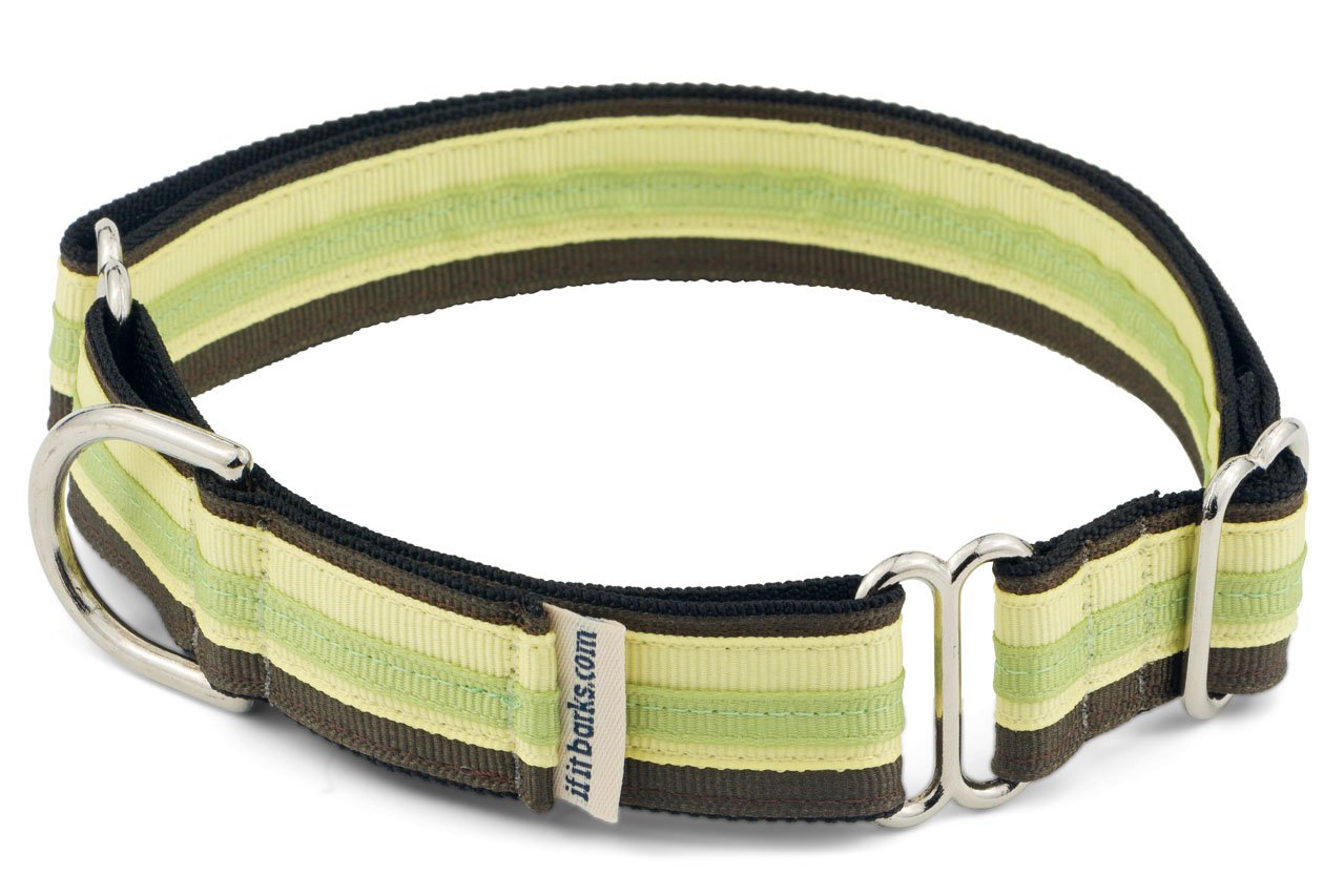 If It Barks 1 Martingale Collar For Dogs, Adjustable Nylon, Usa Made, Small, Key Lime Pie