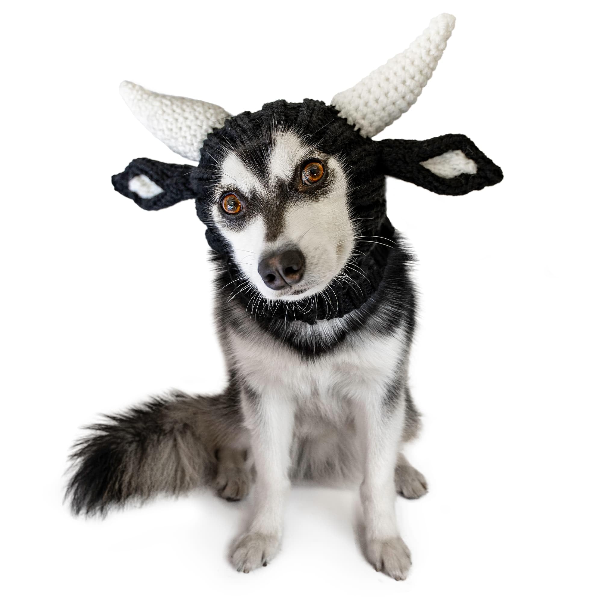 Zoo Snoods Bull Costume - Warm Knit Cow Dog Snood Wrap for Pets, Neck Ear Cover Protection for Halloween Winter (Medium)