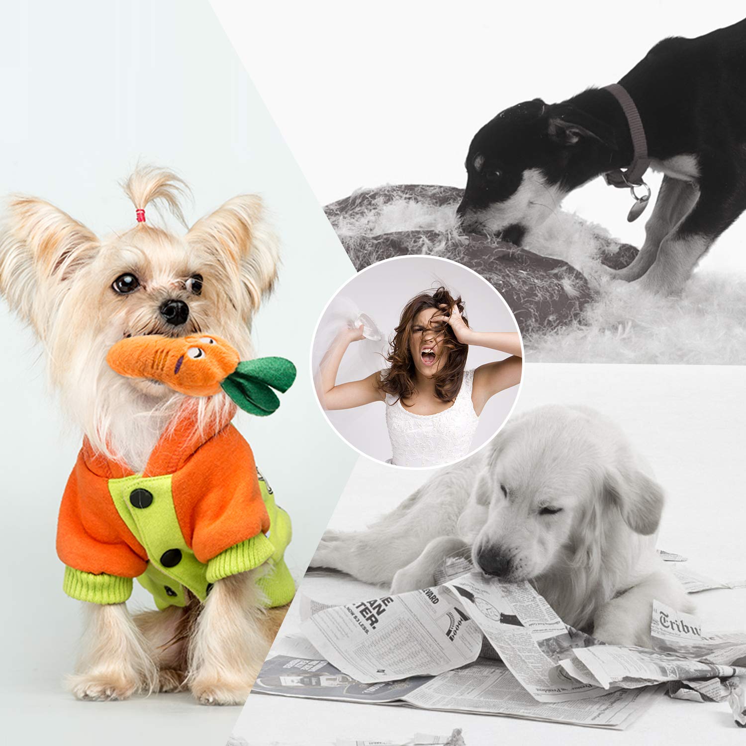 Nocciola Dog Squeaky Toys, Plush Small Dog Toys For Dogs, Stuffed Dog Toys With Squeakers,12 Pcs Puppy Toys With A Carrying Bag For Small Medium Size Dogs
