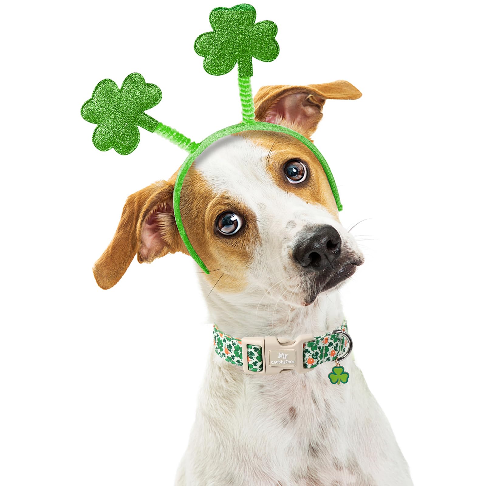 Mr.Chubbyface St. Patrick'S Dog Collar,Green Clover Lucky Shamrock Pet Collar With Quick Release Buckle, Durable Adjustable Spri