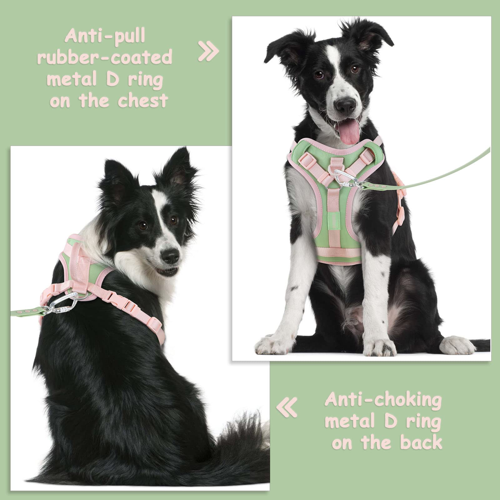 Wolfone No Pull Dog Harness Adjustable Soft Padded Pet Vest With Control Handle Adorable Daily Harness For Dogs(Mint Green L)