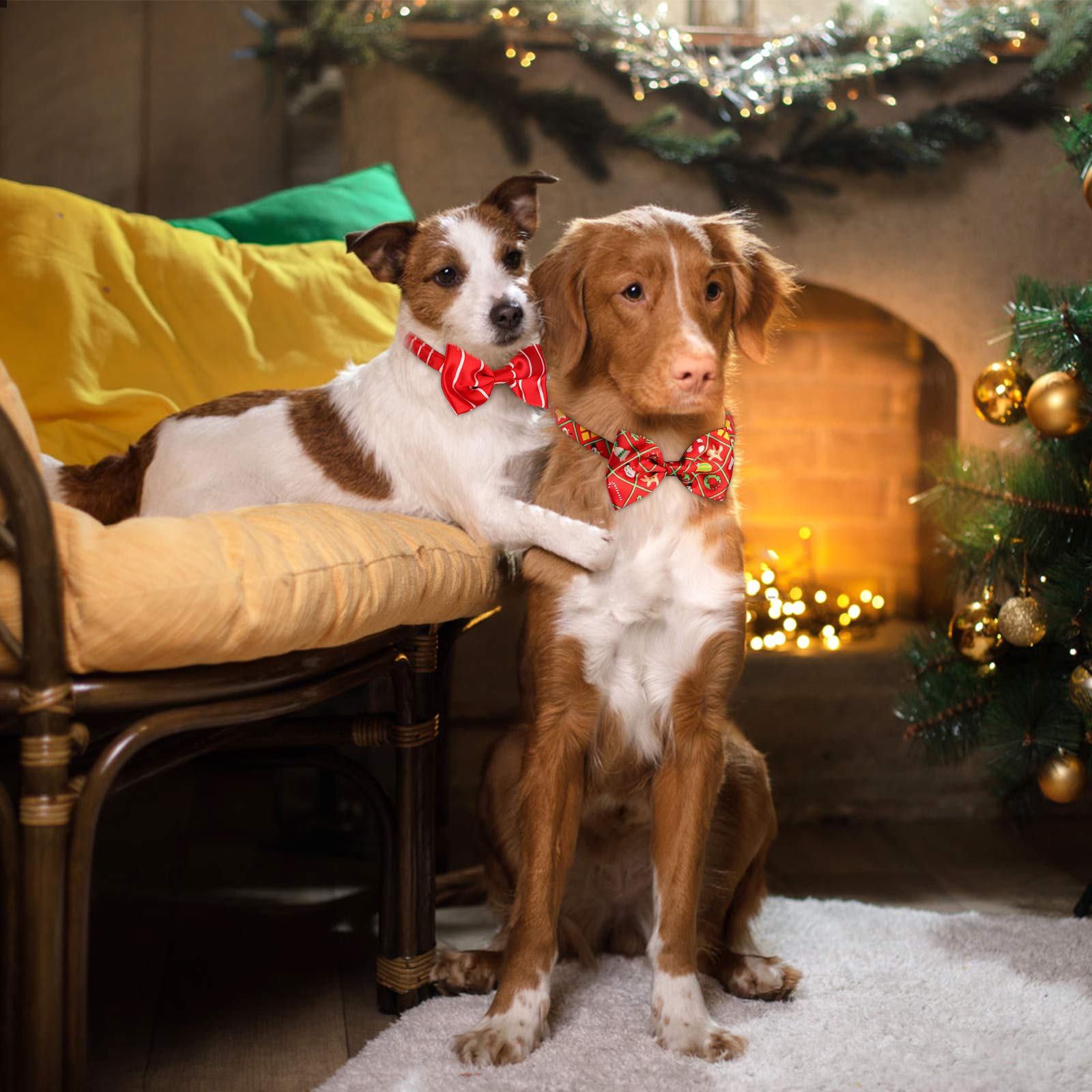 Dog Grooming Collar Bows, Segarty 40 Packs Bulk Pet Bow Ties With Adjustable Dog Bowtie Collar For Small Medium Dogs