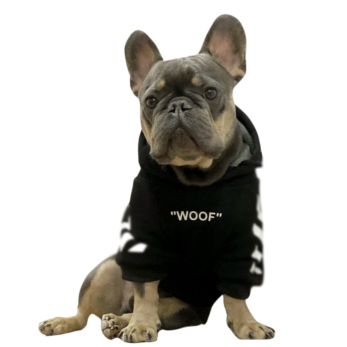 Chochocho Stylish Dog Hoodie Dog Clothes Streetwear Cotton Sweatshirt Fashion Outfit For Dogs Cats Puppy Small Medium Large (2Xl, Black)