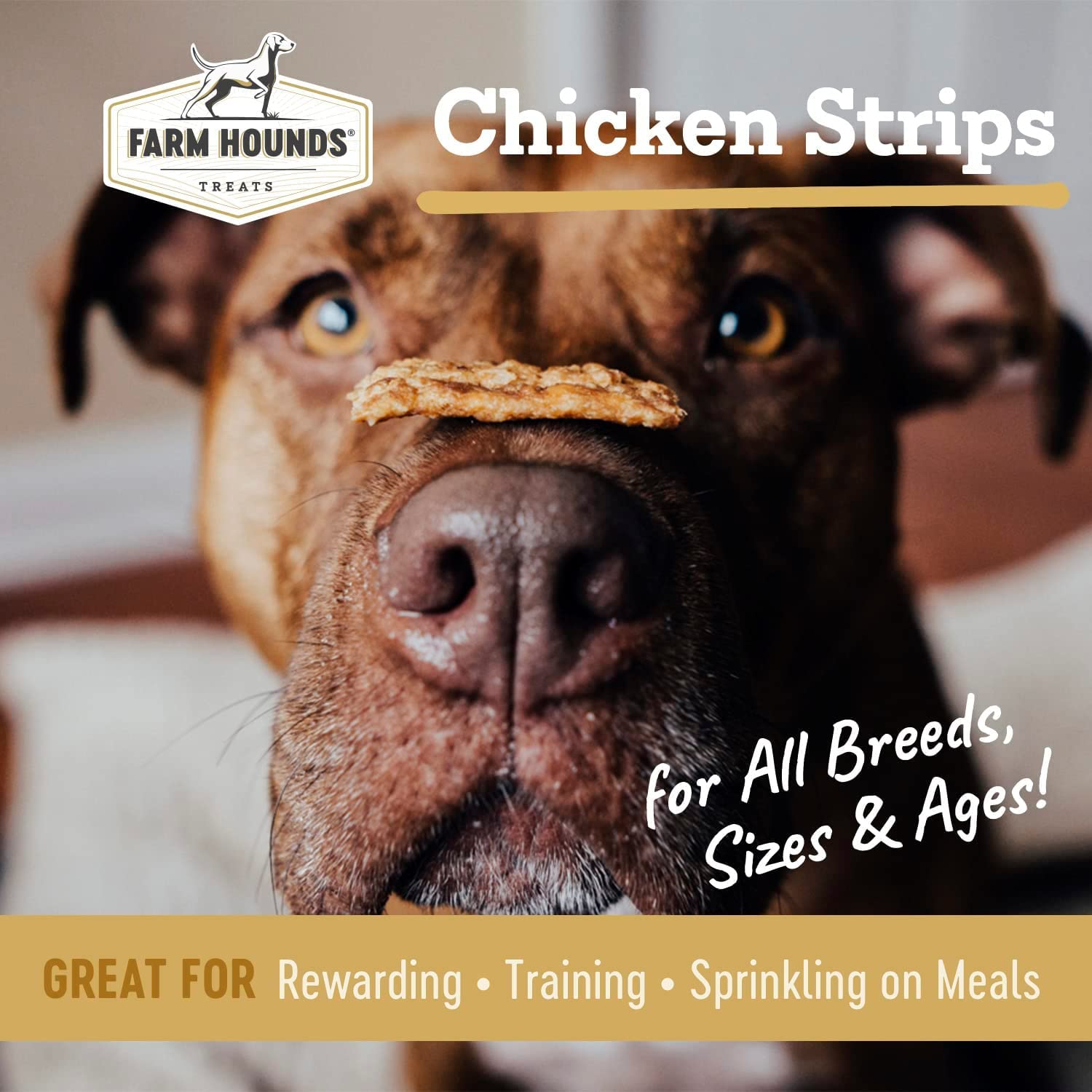 Farm Hounds - Chicken Strips - Premium Natural Jerky for Dogs - 100% Humanely Raised Chicken- Break-to-Size - Great for Training