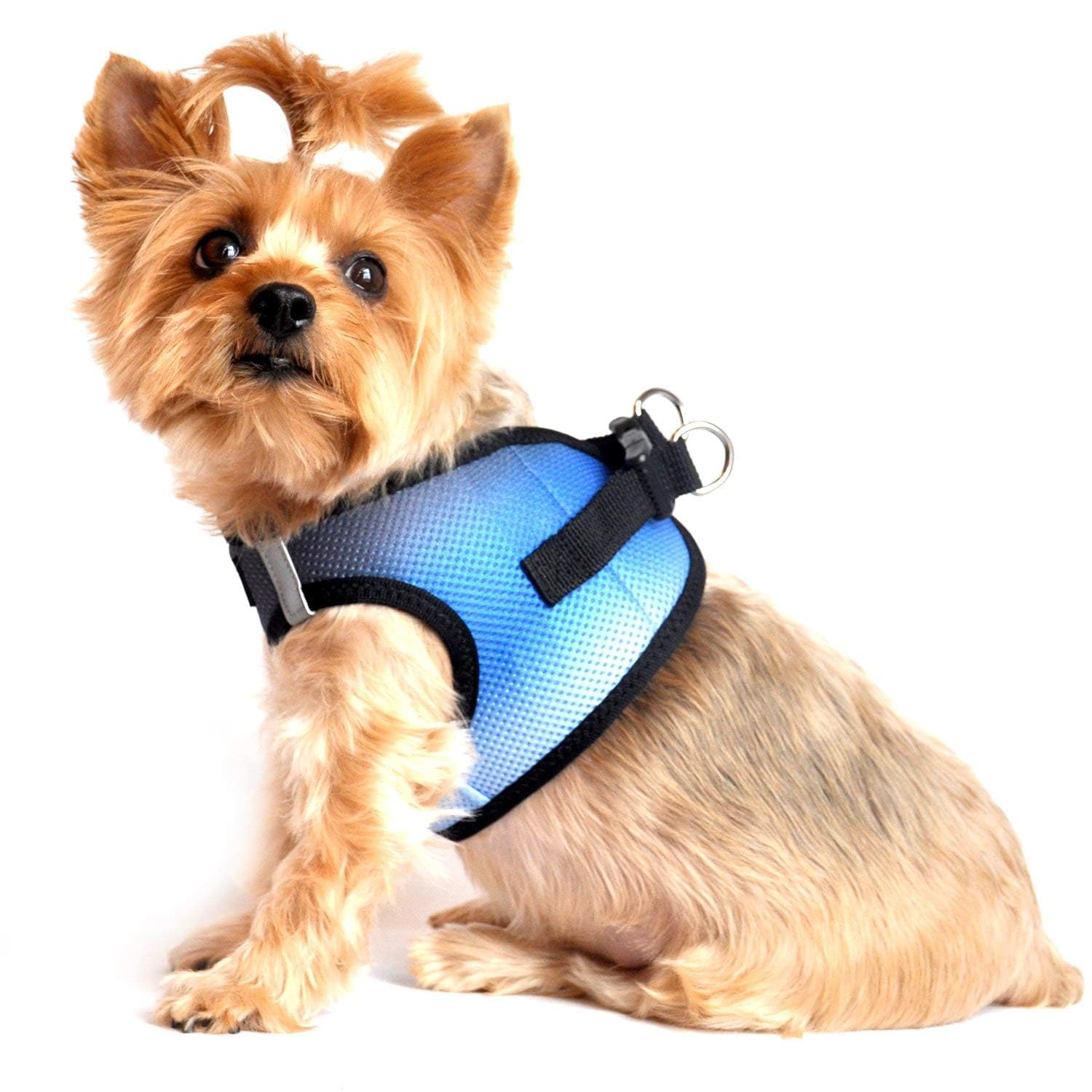American River Dog Harness Ombre Collection - Midnight Sky XXXL