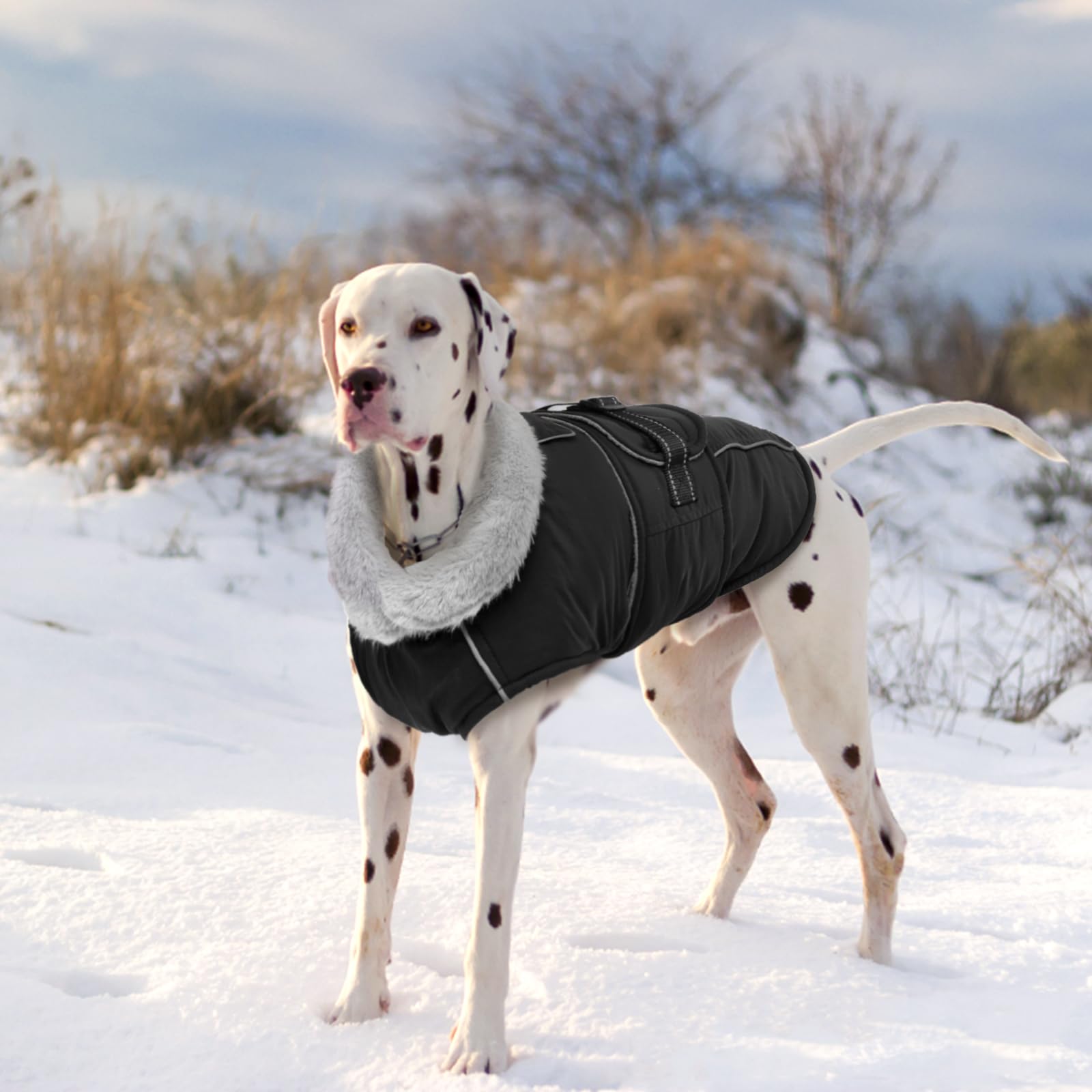 Lelepet Warm Dog Coat Reflective Dog Fleece Vest Waterproof Dog Jacket Windproof Dog Winter Coat Dog Cold Weather Coats With Adjustable Buckle Medium Dog Coat Dog Snowsuit Dog Coat For Medium Dogs, M