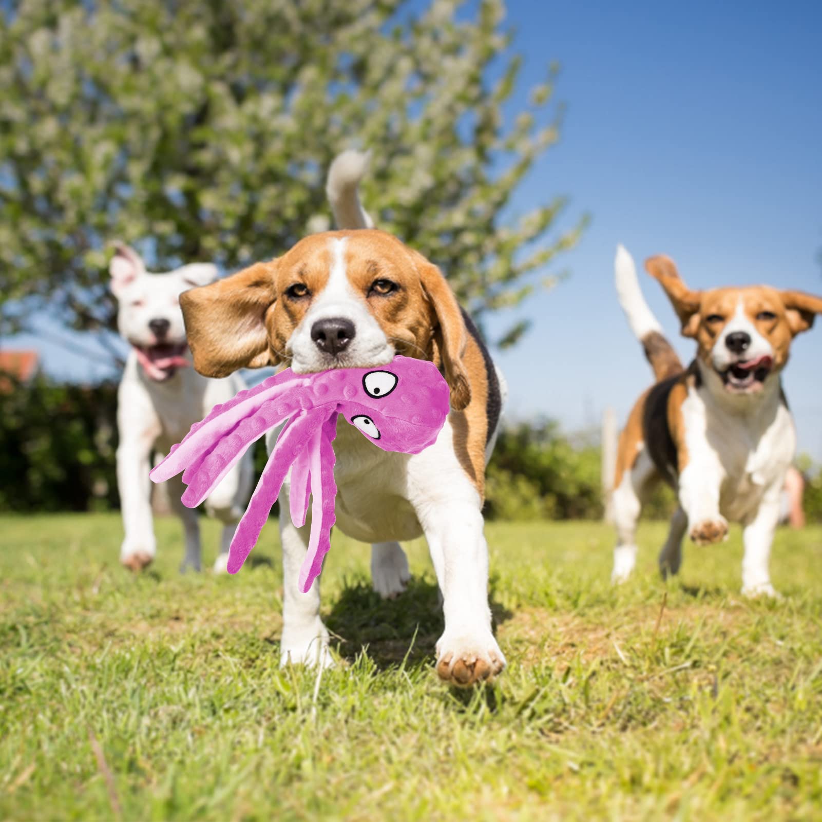 Alphatool Squeaky Dog Toys, Octopus Dog Toys For Aggressive Chewers, Tough No Stuffing Plush Dog Toys For Large Dogs, Crinkle Interactive Puppy Dog Toys For Small Medium Dogs(3Pcs)