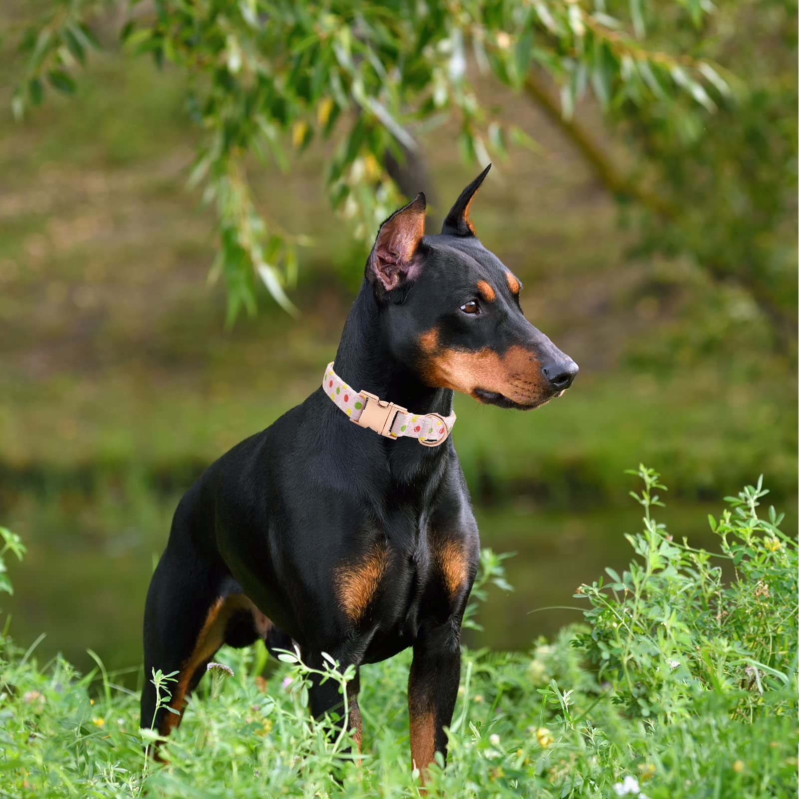 Metal Buckle Dog Collar, Durable Adjustable Dog Collar Soft For Small Medium Large Dogs (Pink Point, L(15-23In)