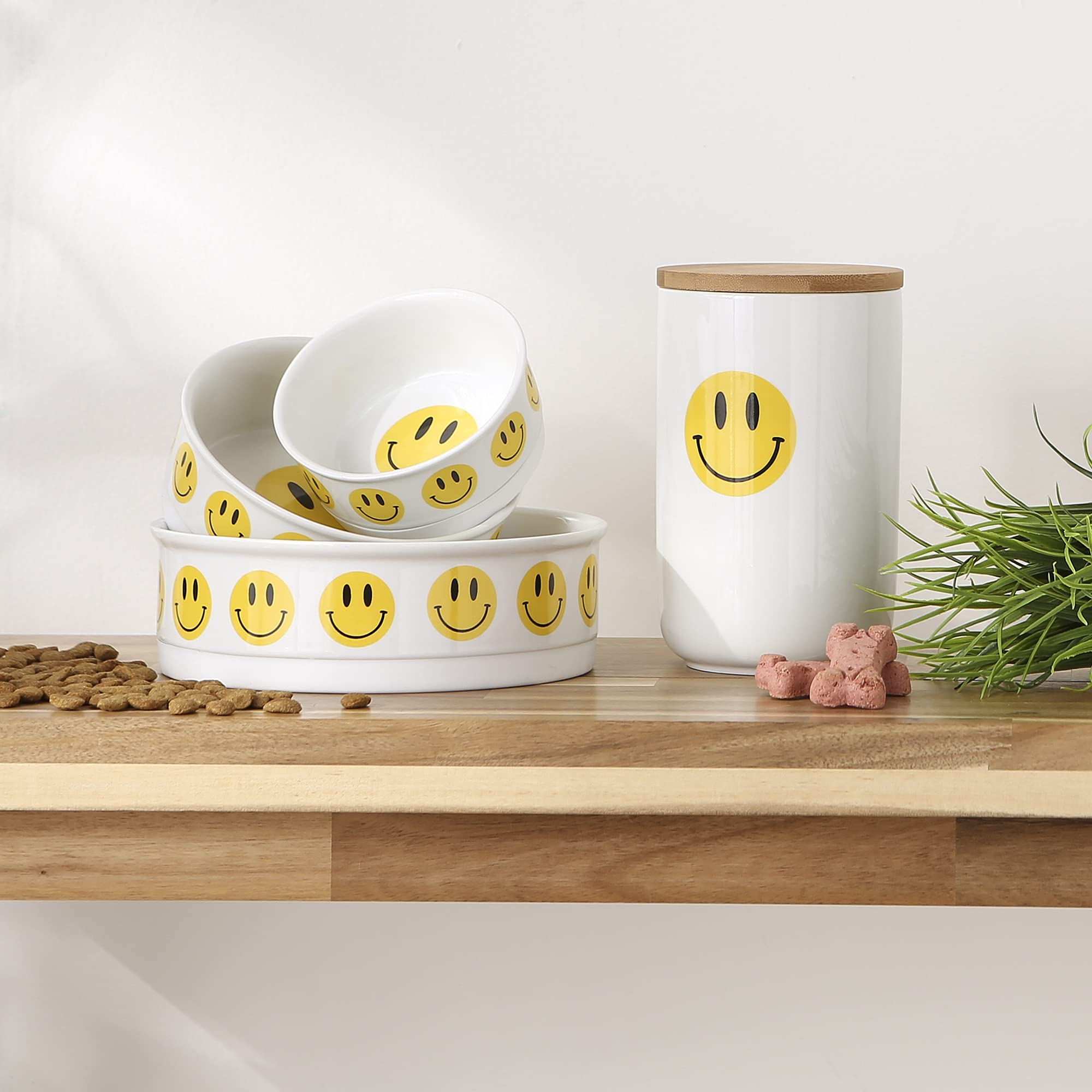 Bone Dry Ceramic Pet Treat Canister with Bamboo Lid, Dishwasher Safe, Countertop Storage, Keep Dog & Cat Treats Safe & Dry, 4x6.