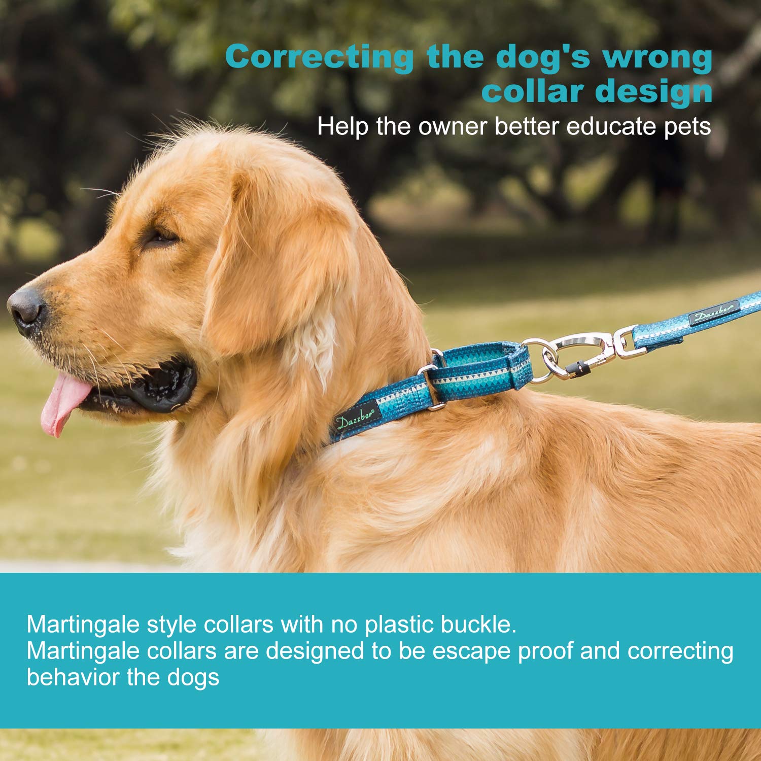 Dazzber Martingale Collar Dog Collar No Pull Pet Collar Heavy Duty Dog Martingale Collars Silky Soft With Unique Geometric Pattern For Medium And Large Dogs (Large, Turquoise)
