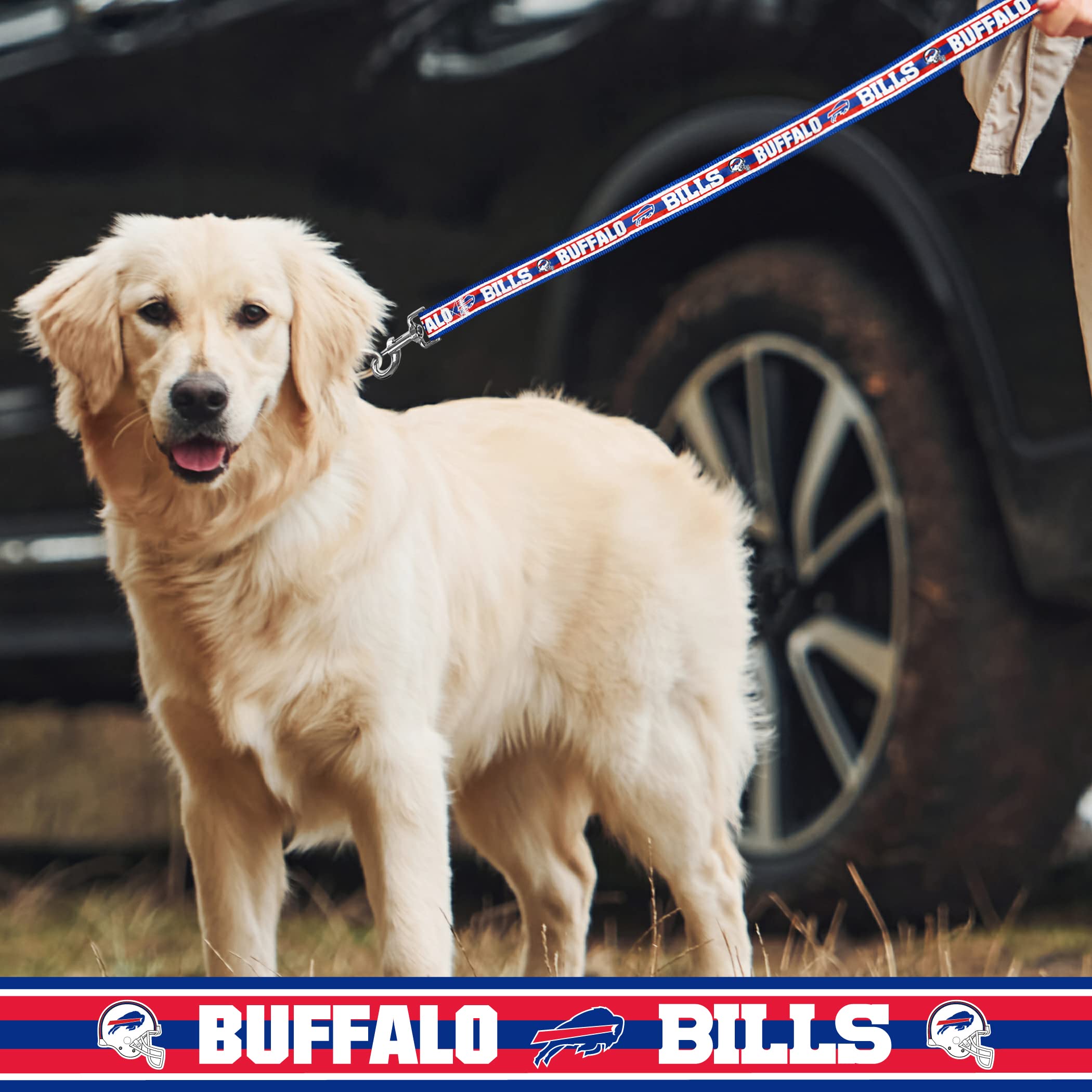 Nfl Pet Leash Buffalo Bills Dog Leash, Large Football Team Leash For Dogs & Cats. A Shiny & Colorful Cat Leash & Dog Leash Licen