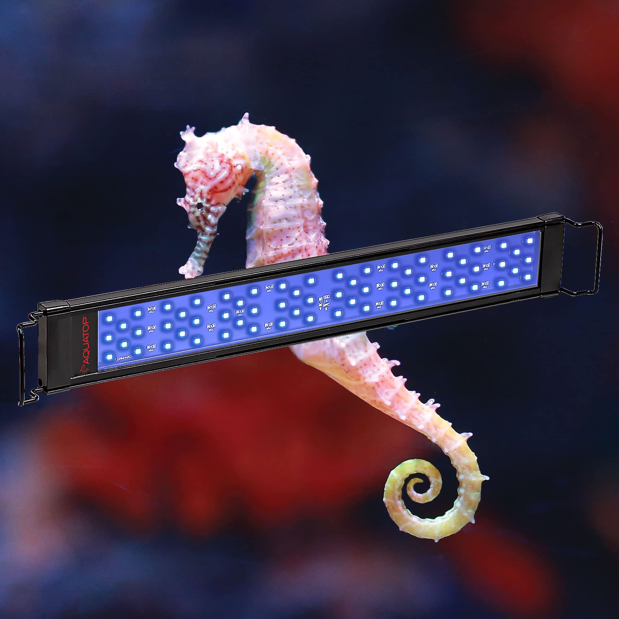 Aquatop Led Aquarium Blue Light - Skyaqua Blue, Actinic Spectrum, Fits 18-24-Inch Tanks, Aquarium Lights For Fish Tank, Ul & Csa, Led Blue Light For Natural Moonlight Illumination