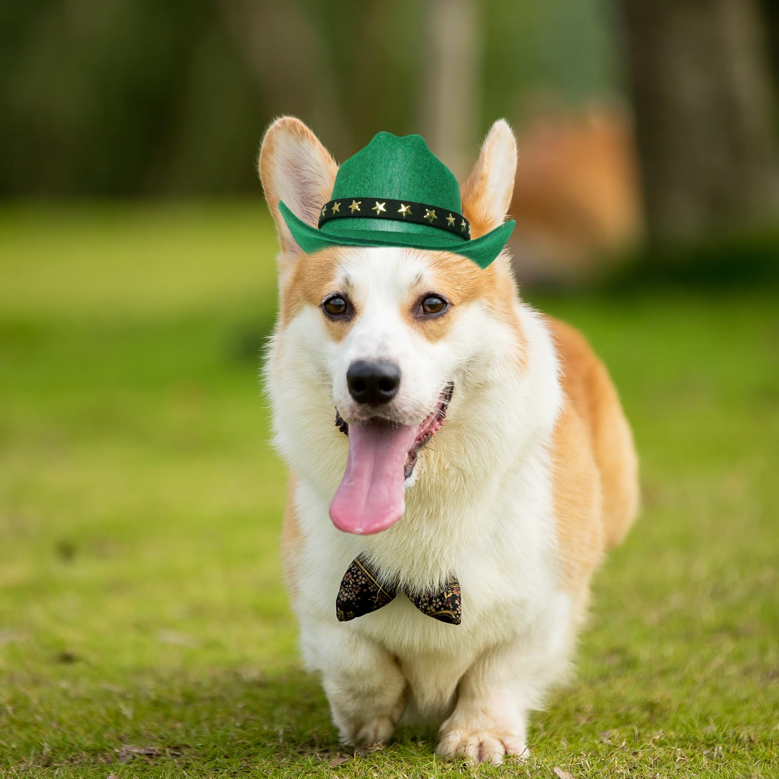 Choyaxo Pet Cowboy Costume Cosplay Cap Halloween Costumes For Dogs Cat Pet Party Decoration Mini Cowboy Hat (Green, Small)