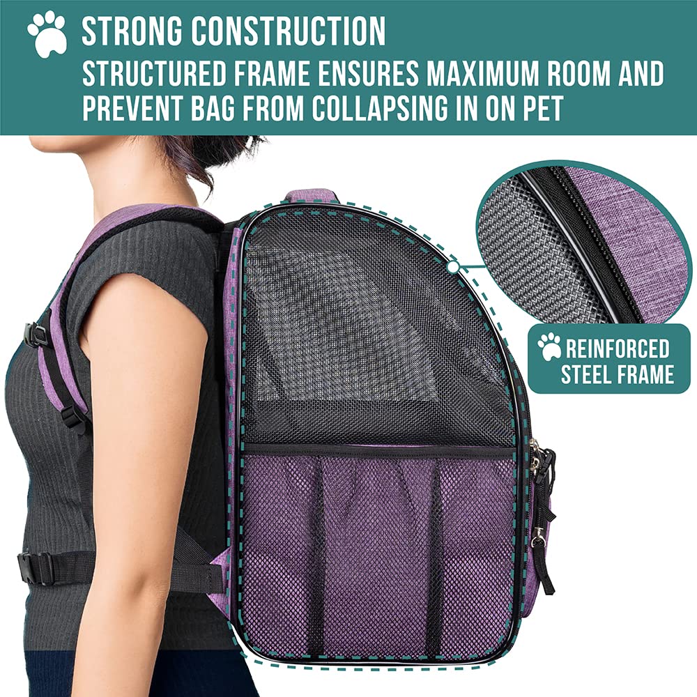 Petami Dog Backpack Carrier For Small Large Cat, Pet, Puppies, Ventilated Pet Hiking Backpack Travel Bag, Airline Approved Cat B