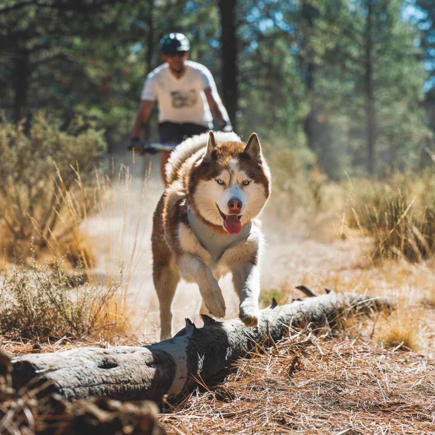 Ruffwear, Swamp Cooler Zip Dog Vest, Evaporative Cooling For Hot Weather, Biolumin Blue, X-Small