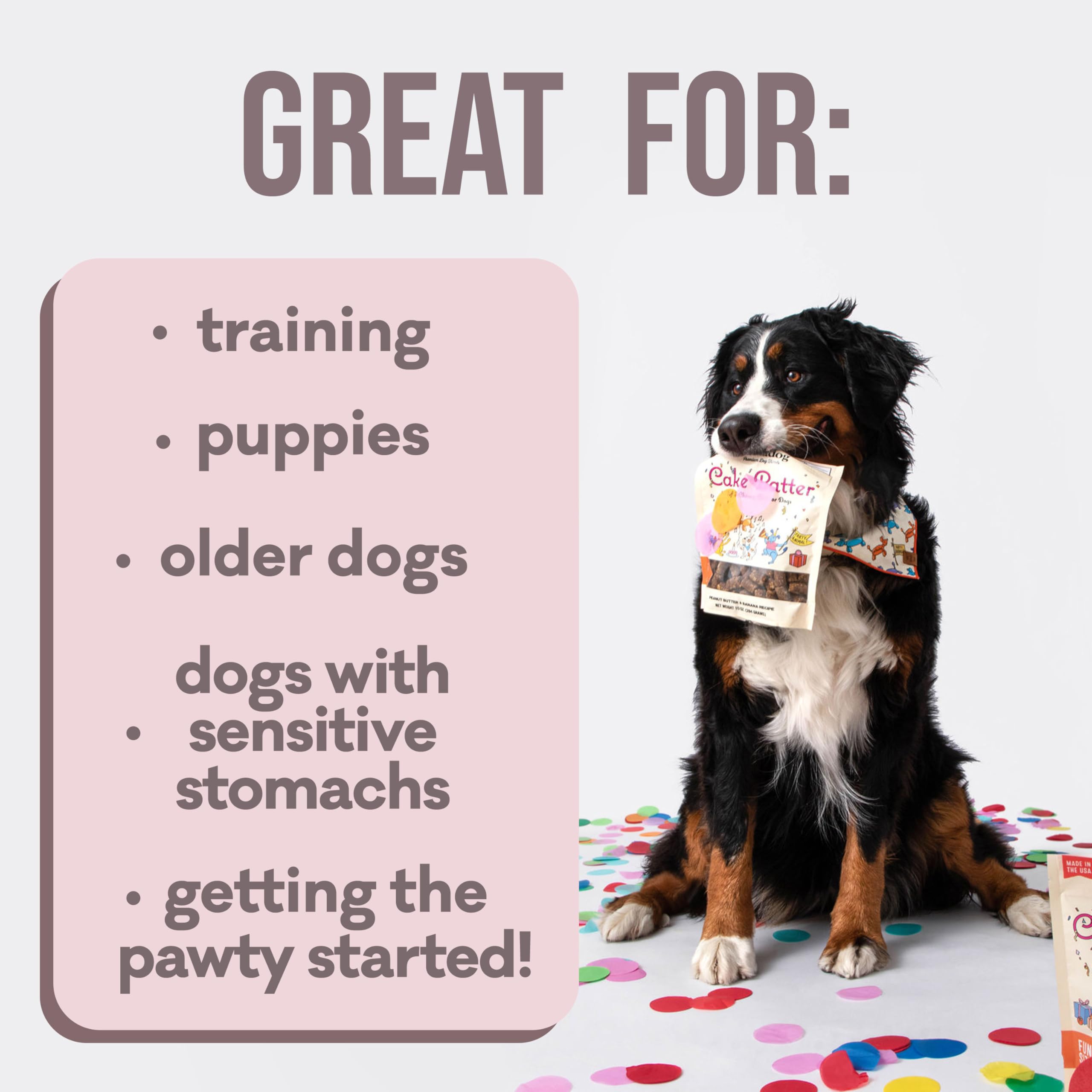 Polkadog Premium Healthy Dog Birthday Treat - Soft, Chewy & Vegan Treats - New England Peanut Butter and Banana Small Batch Reci