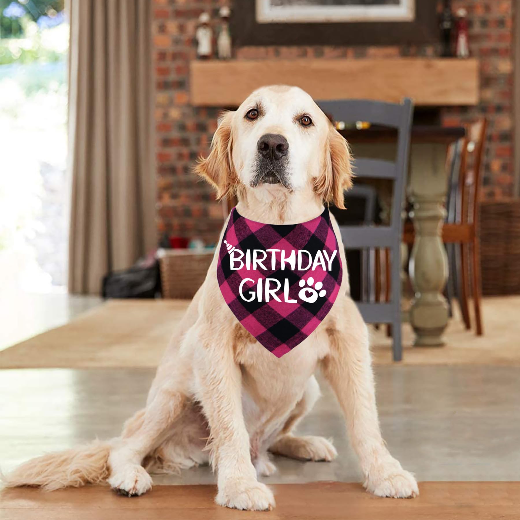 Stmk Dog Birthday Bandana, Multi Sizes Dog Birthday Girl Bandana For Small Medium Large Dogs Pets (Large, Pink)