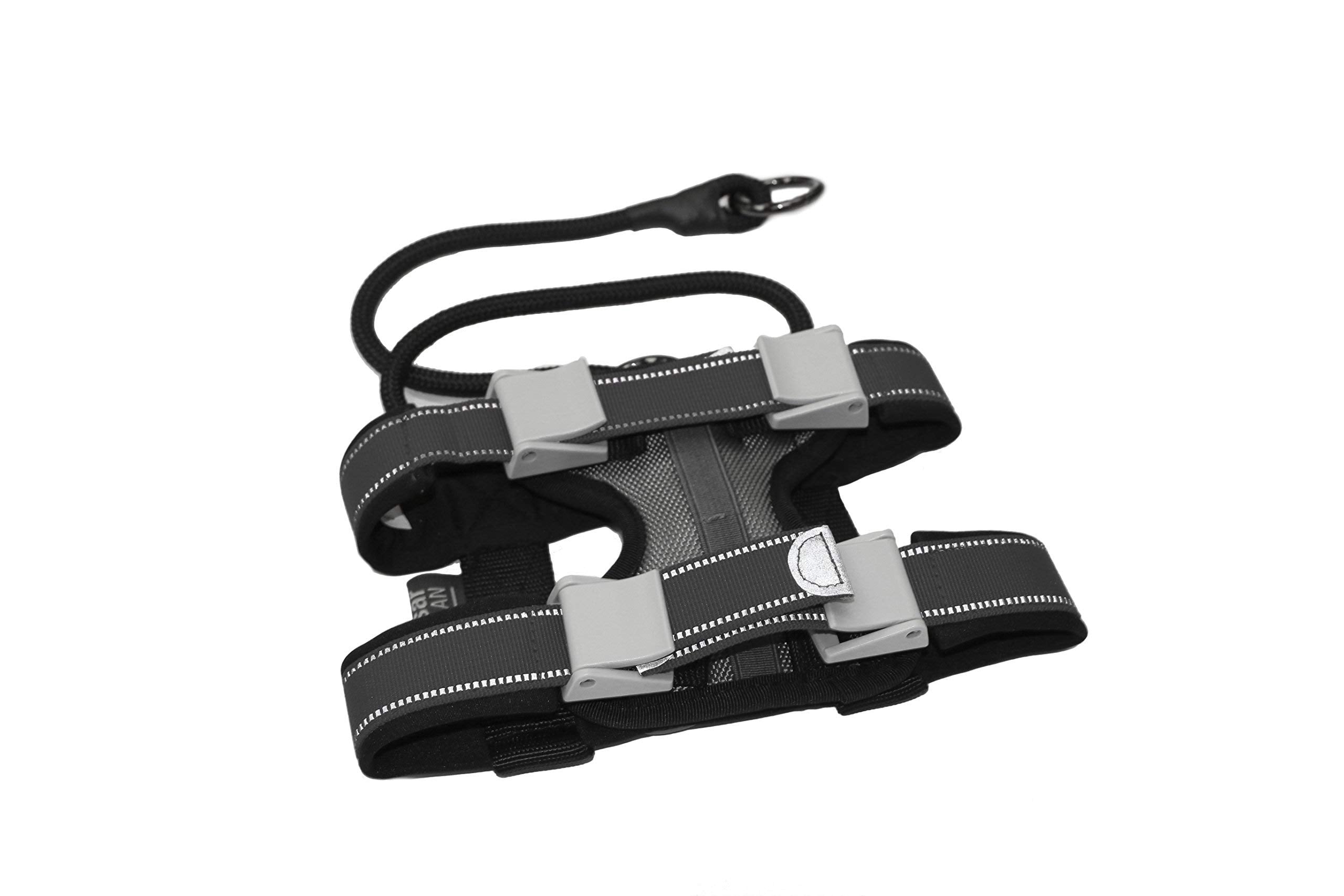 Cesar Millan Pack Leader Collar - Training Collar Of The Dog Whisperer (Small, Grey)