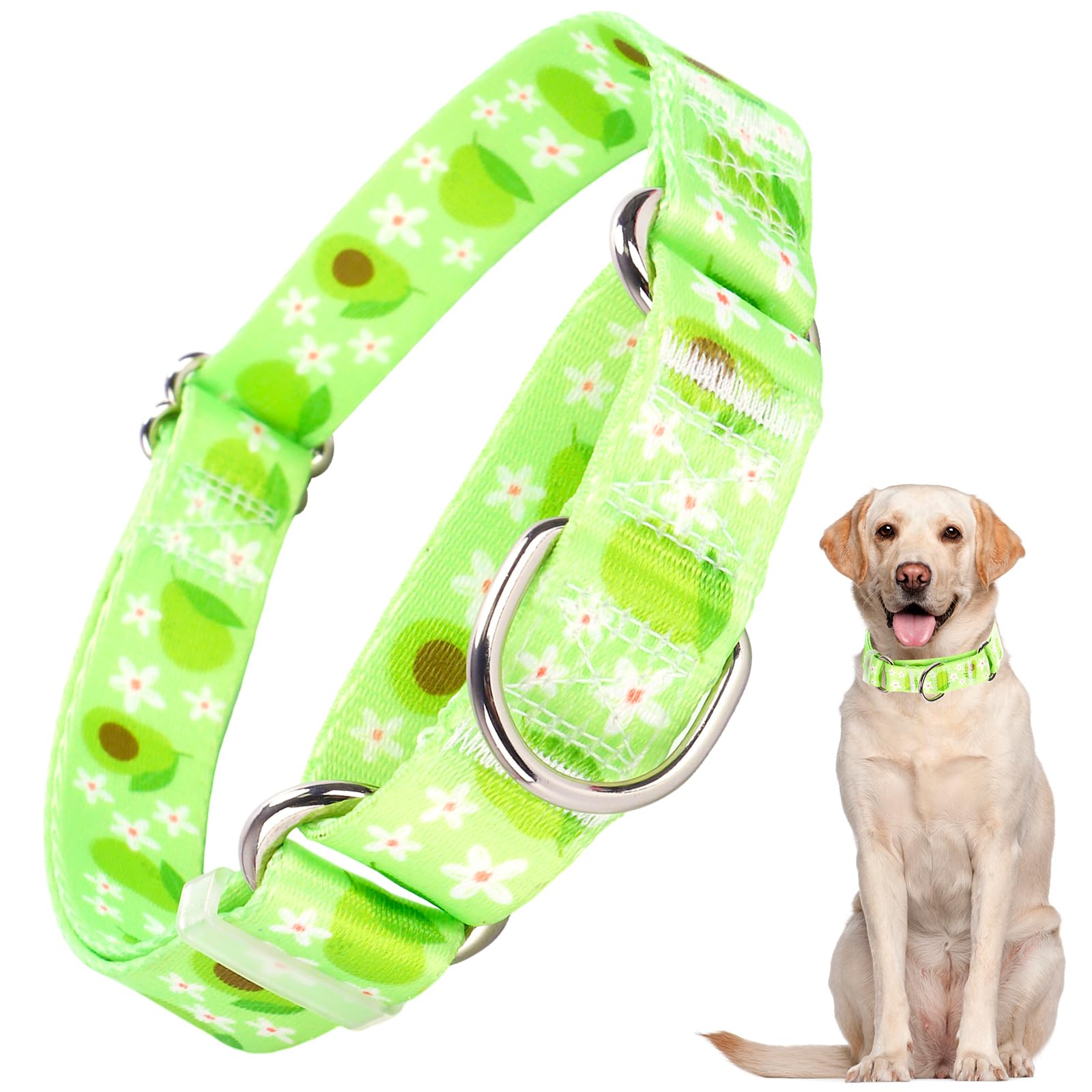 Green Avocado Martingale Dog Collar For Dogs, Premium No Slip Collar, Adjustable Martingale Collar For Small Medium Large Dogs G