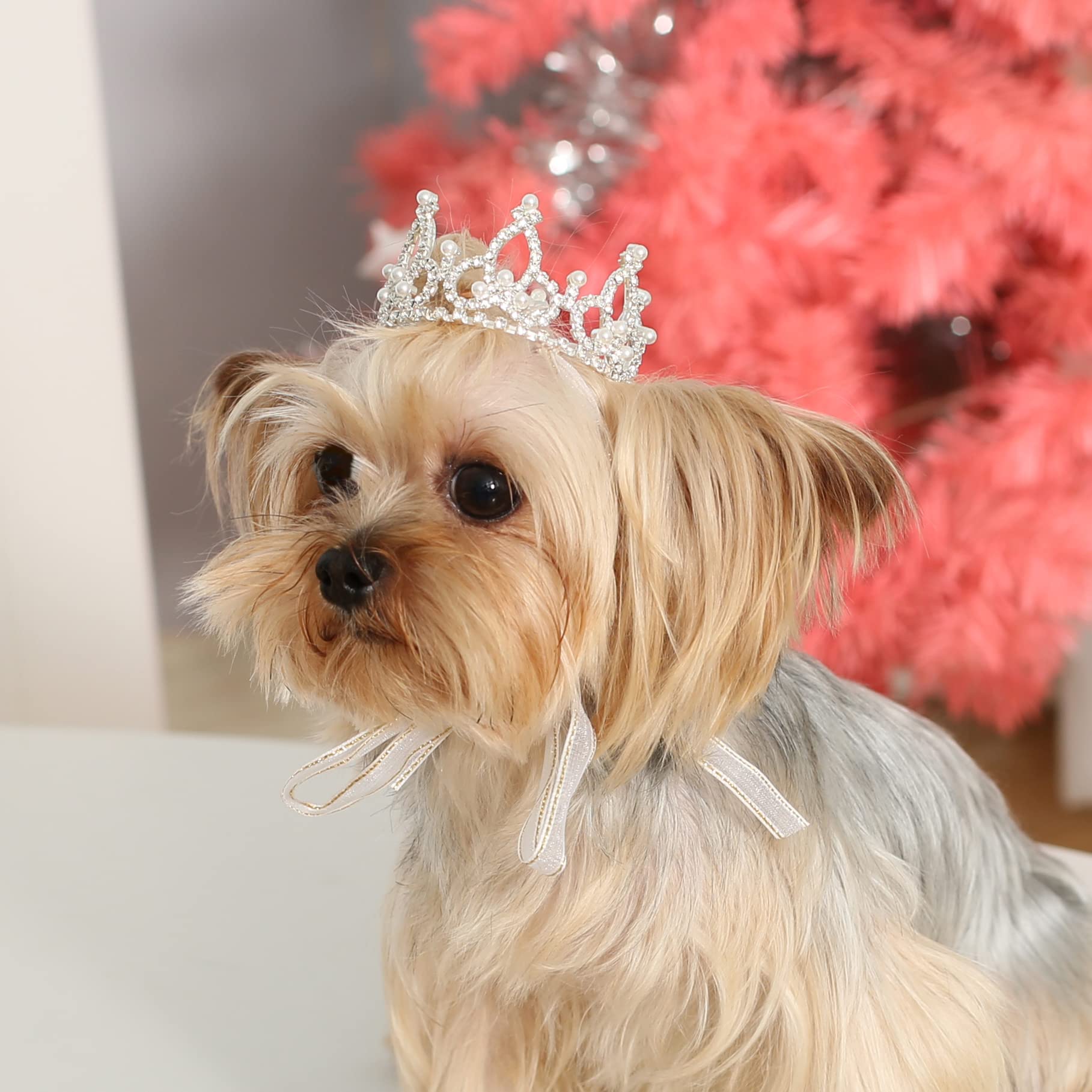 Lovelyshop Pet Series Silver Plated Royal Rhinestone Pearl Full Round Dog/Cat Crown For Rolyal Family Costume Hair Accessories-X